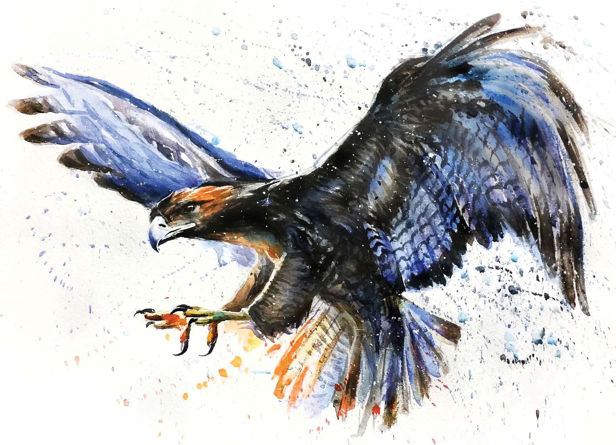 Tapeta Akvarel dravec