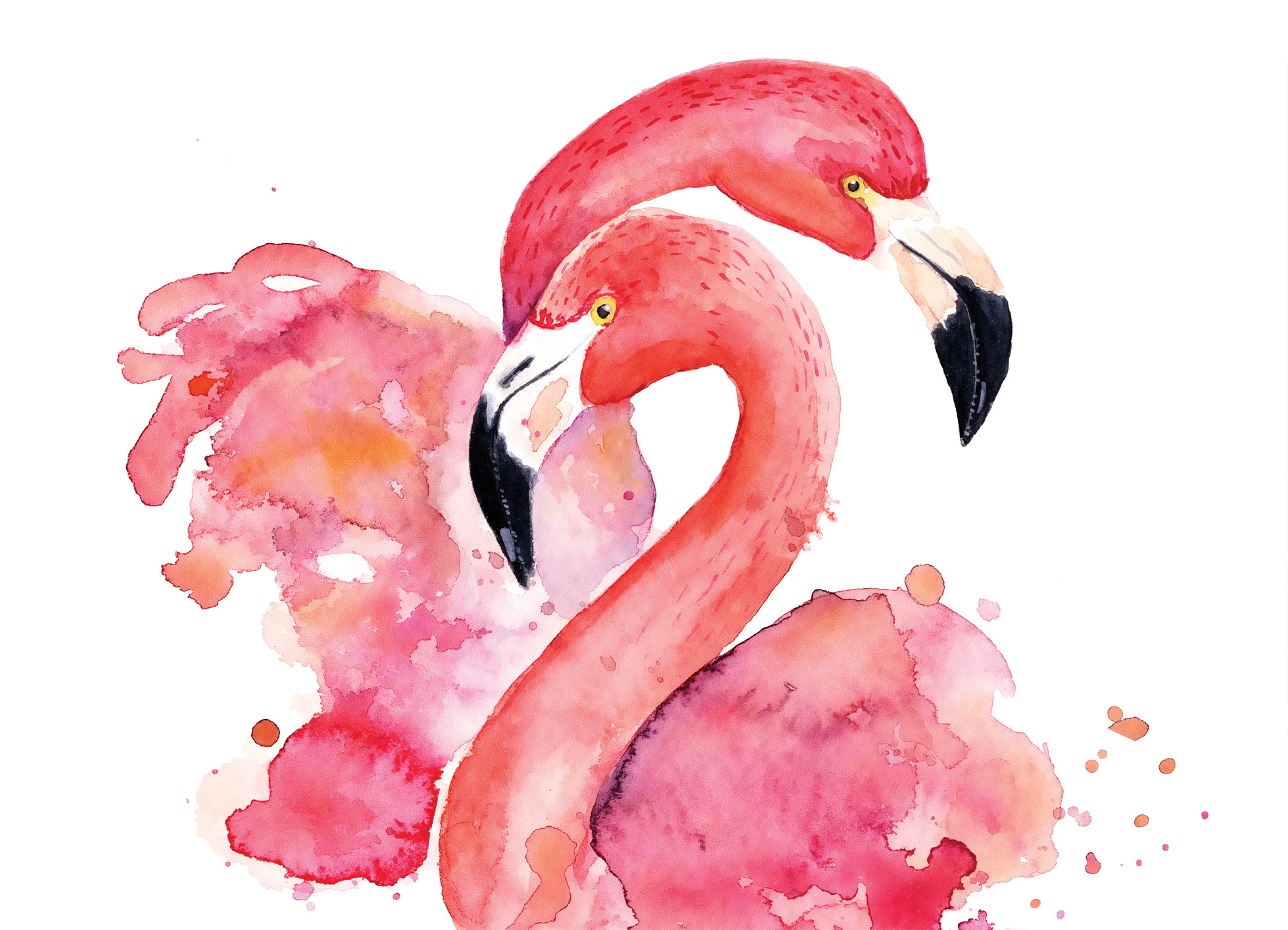 Tapeta Akvarel plameňáci