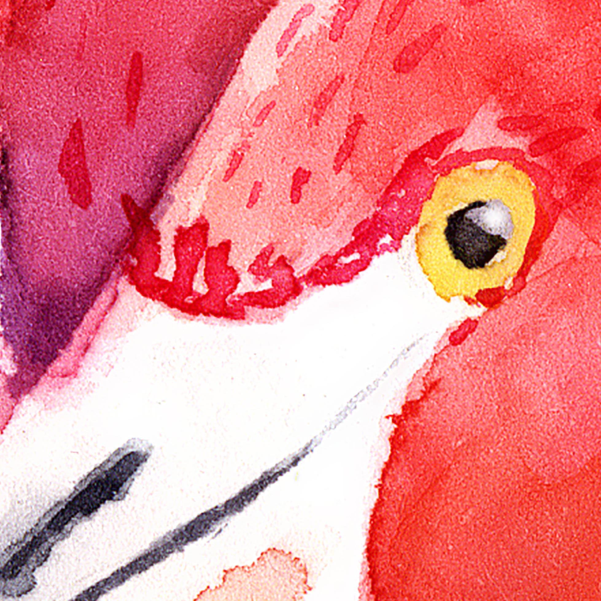 Tapeta Akvarel plameňáci