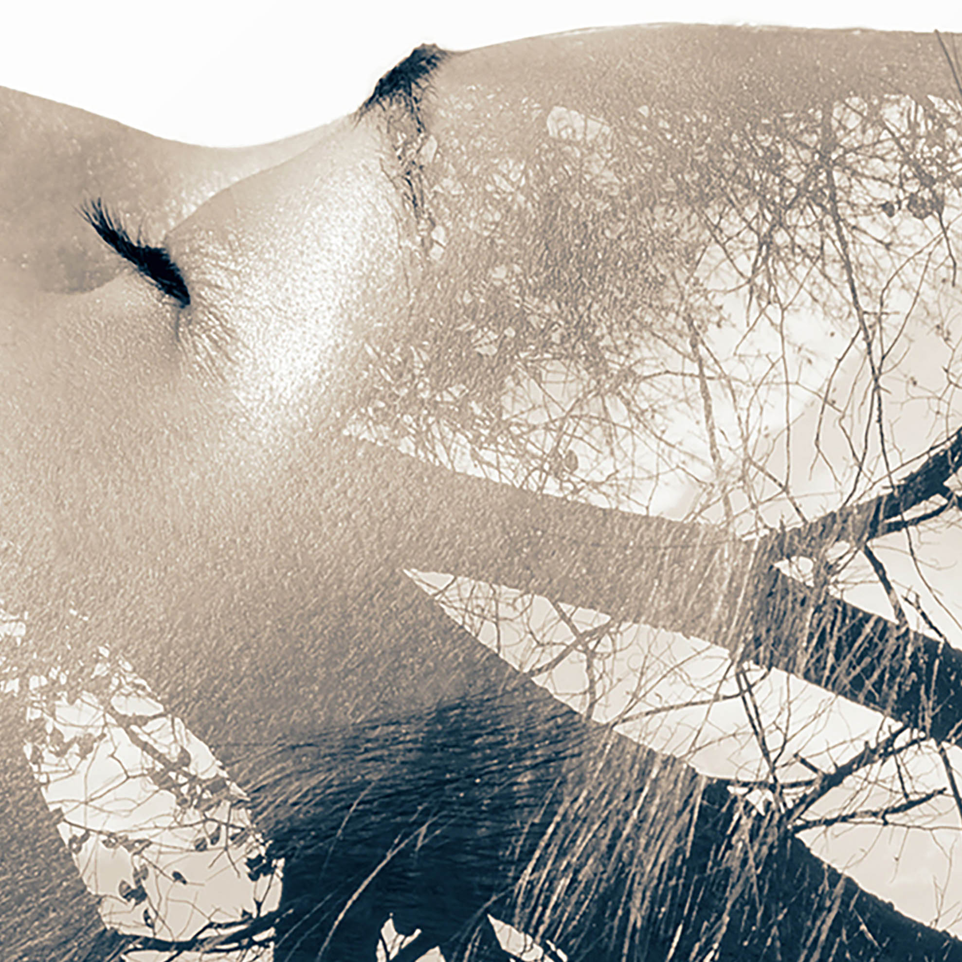 Tapeta Dvojexpozice žena strom