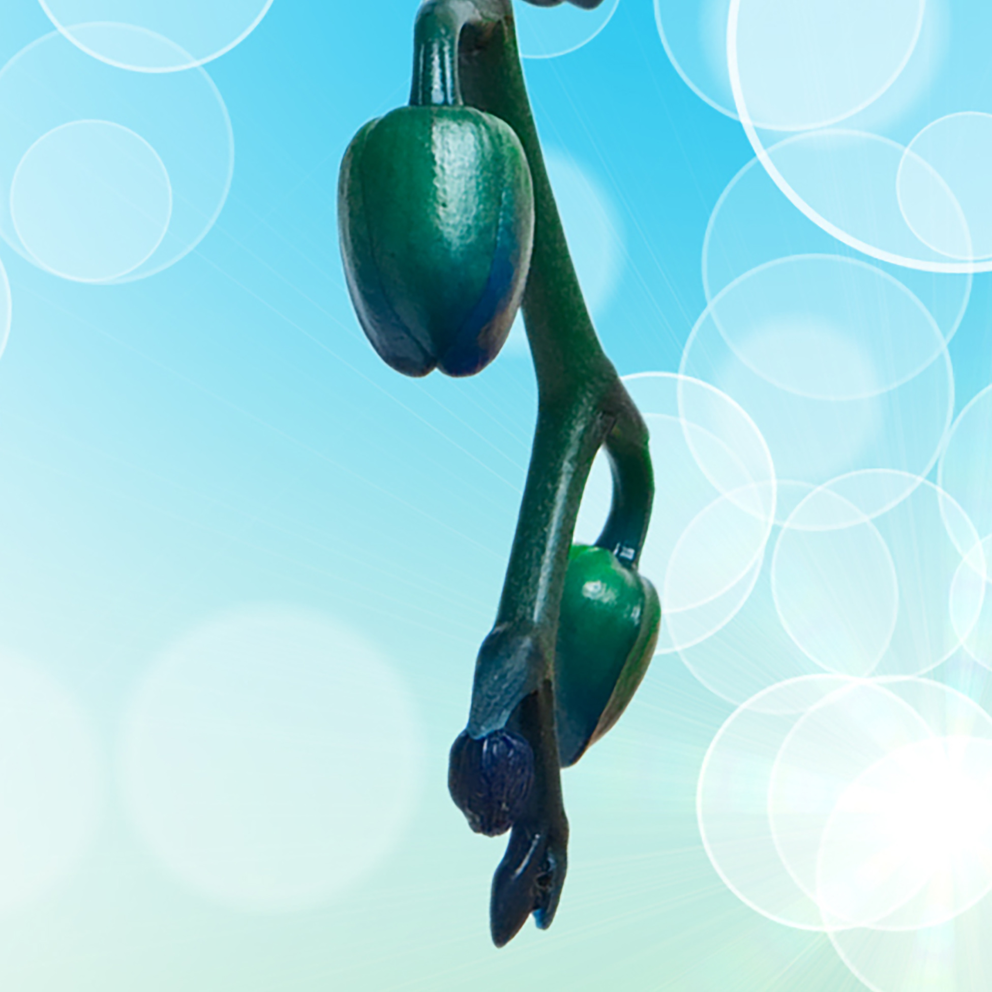 Tapeta Orchidej modrá