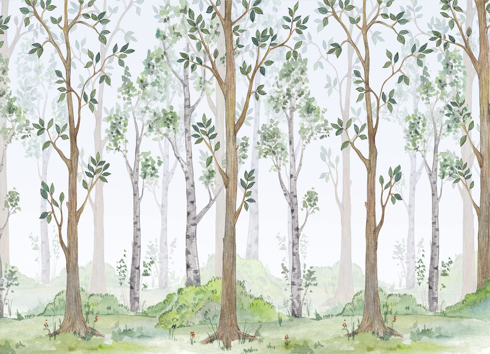 Tapeta Les ilustrace