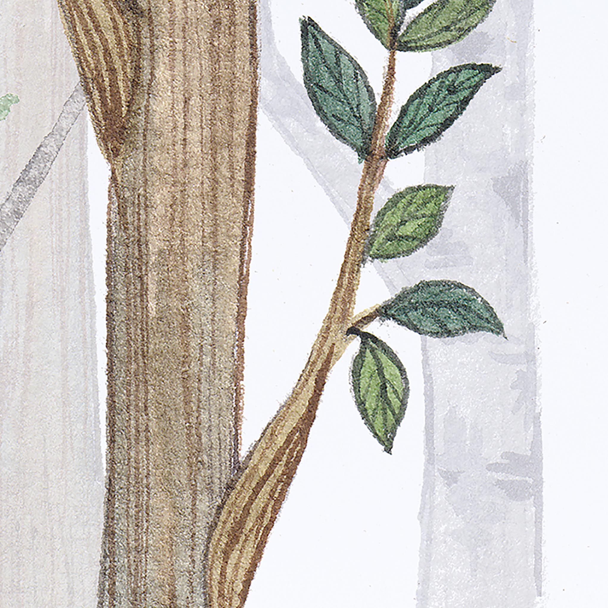 Tapeta Les ilustrace