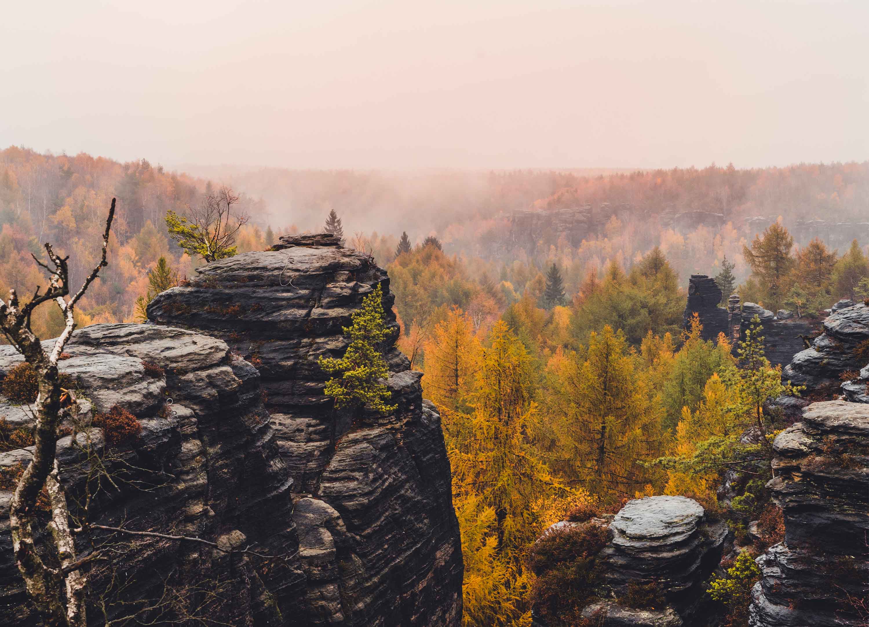 Tapeta Prachovské skály
