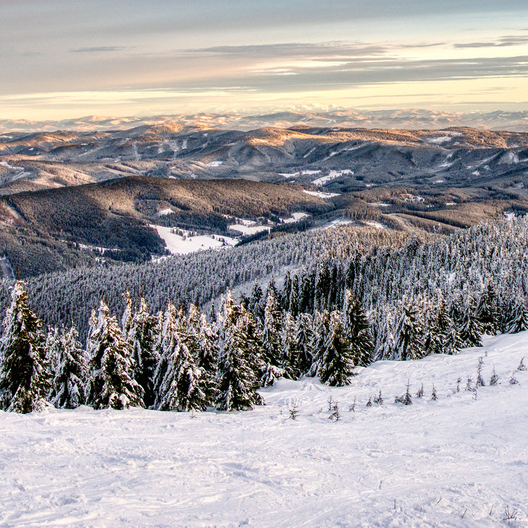 Tapeta Zimní panorama