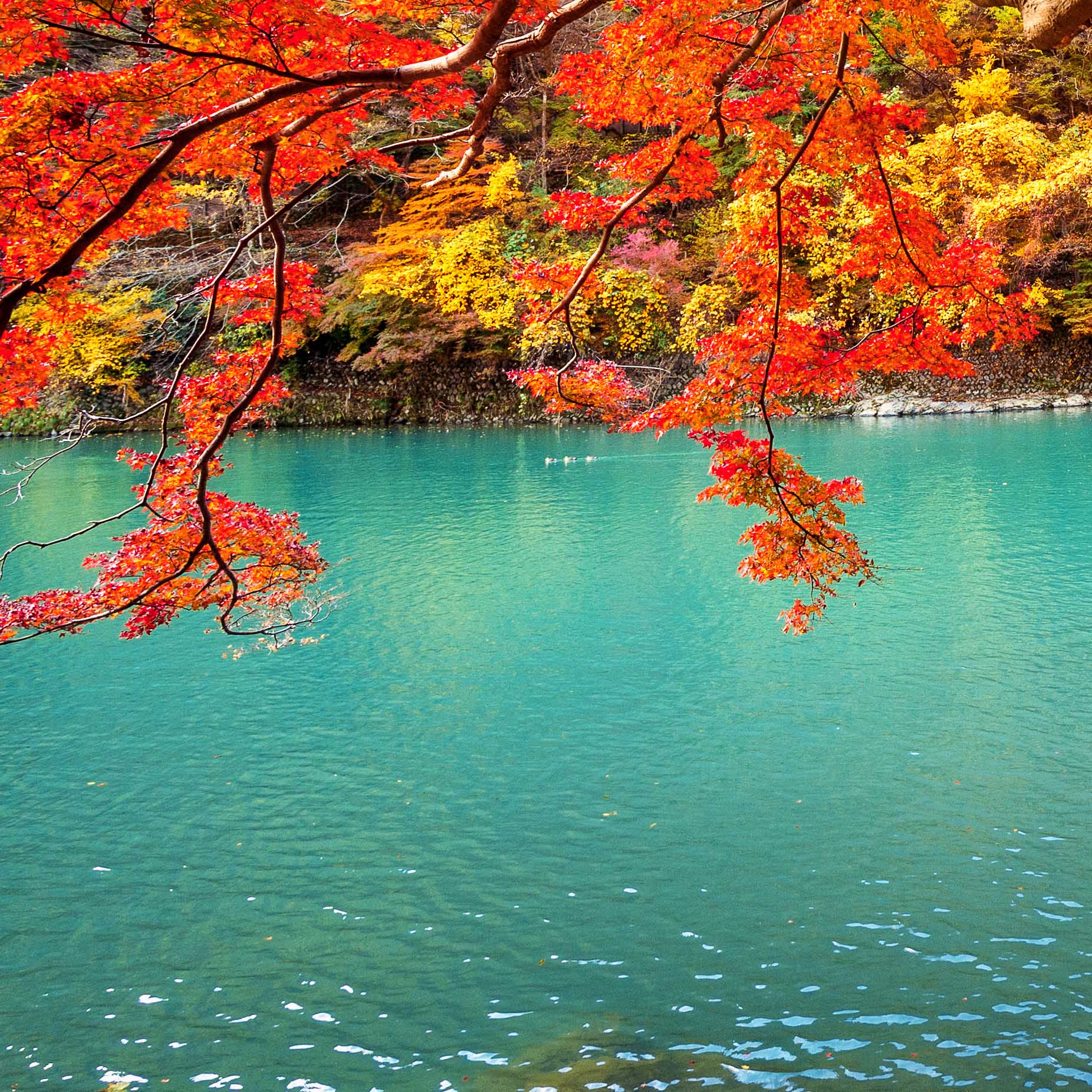 Tapeta Tyrkysová řeka