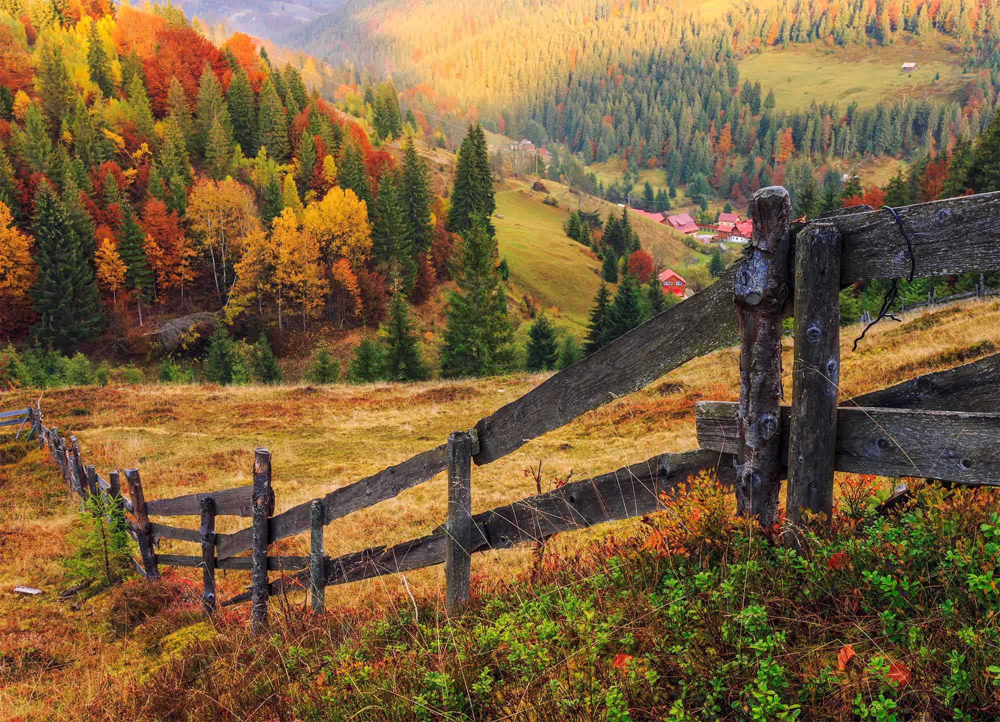 Tapeta Podzimní údolí