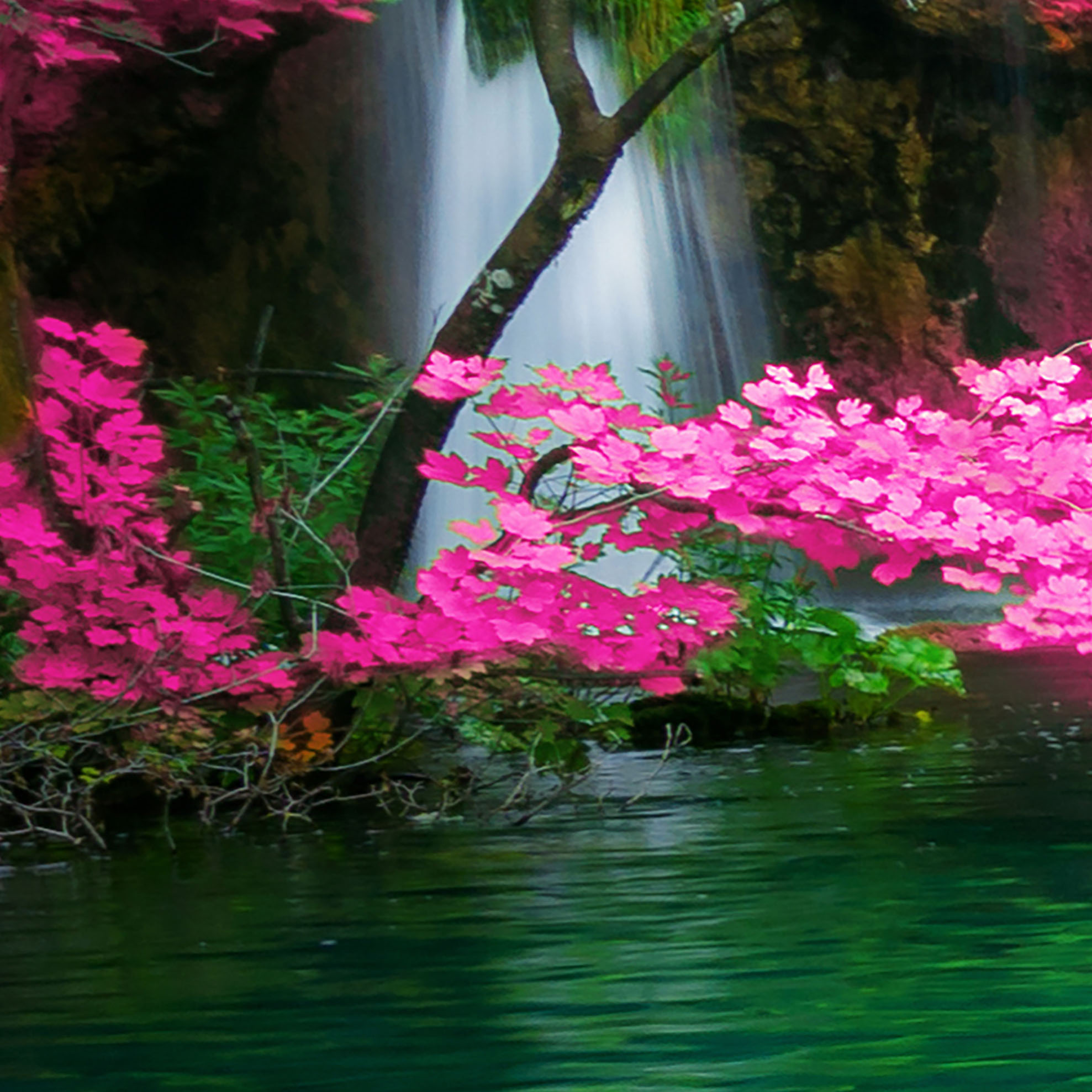 Tapeta Exotický vodopád