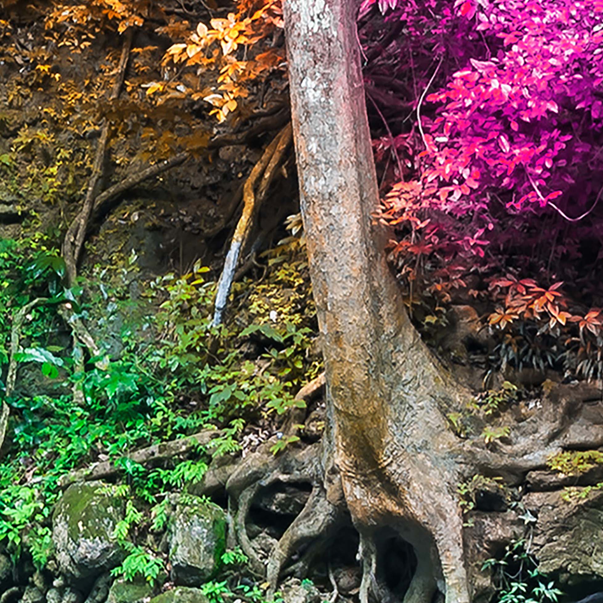 Tapeta Park Erawan Thajsko