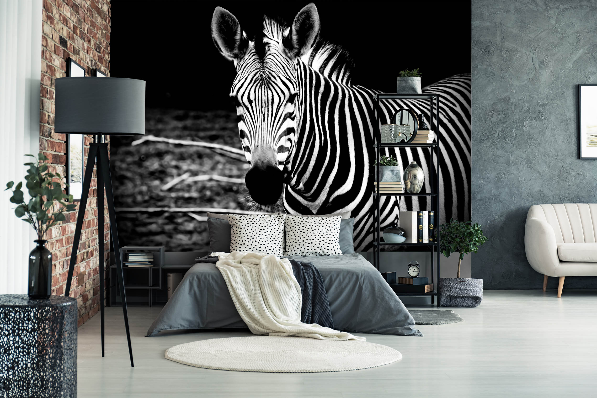Tapeta Zebra