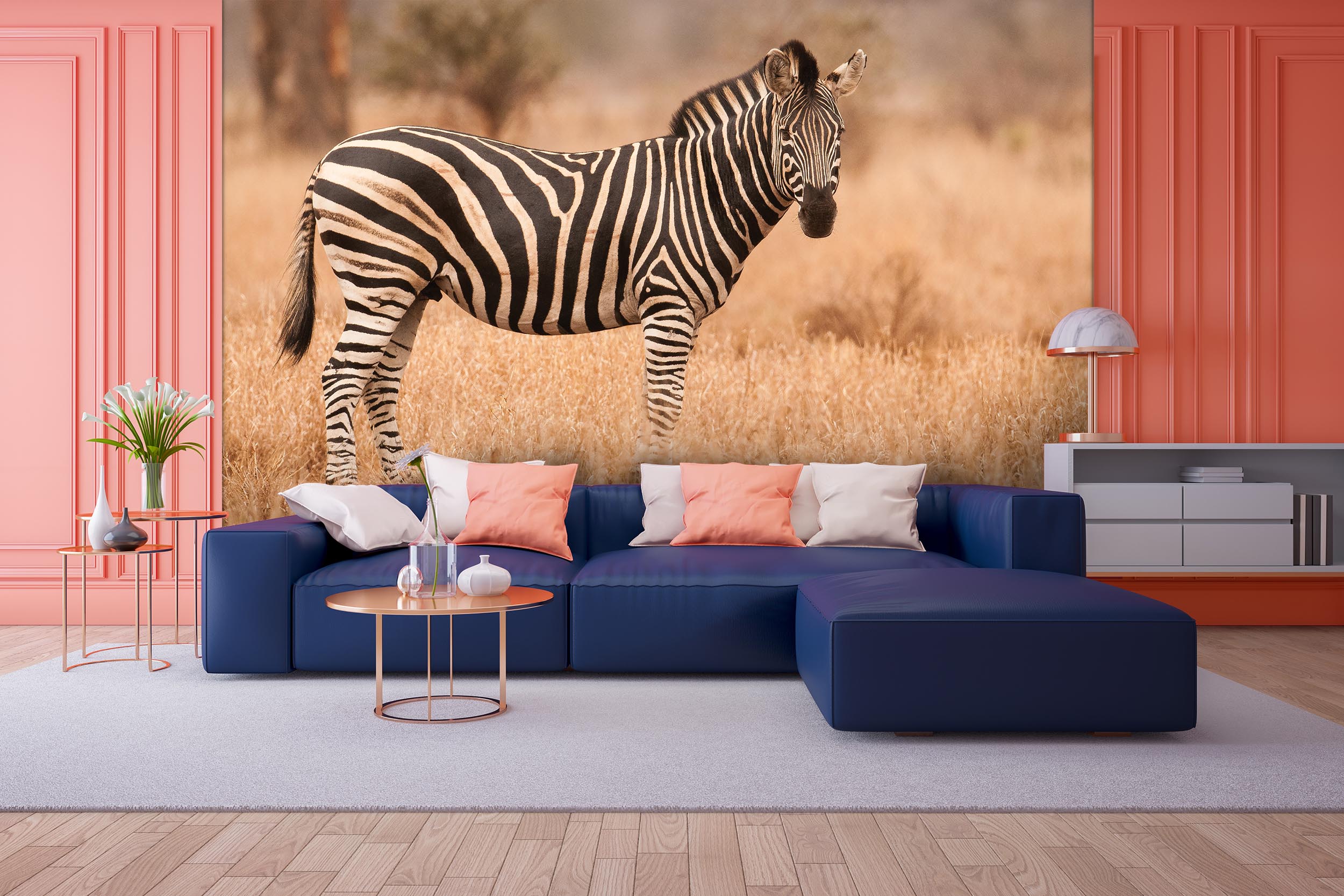 Tapeta Zebra v savaně