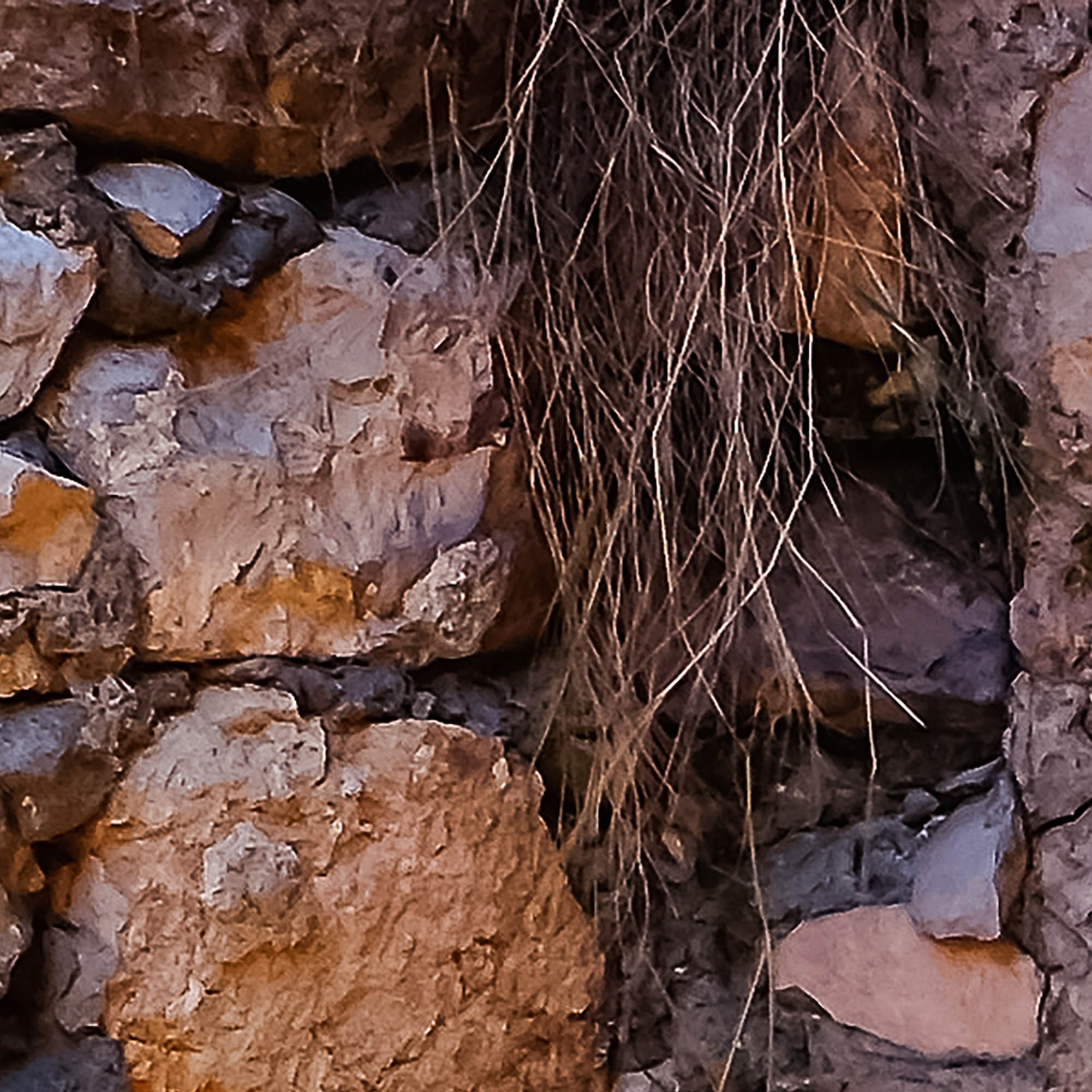 Tapeta Černá Hora ulička