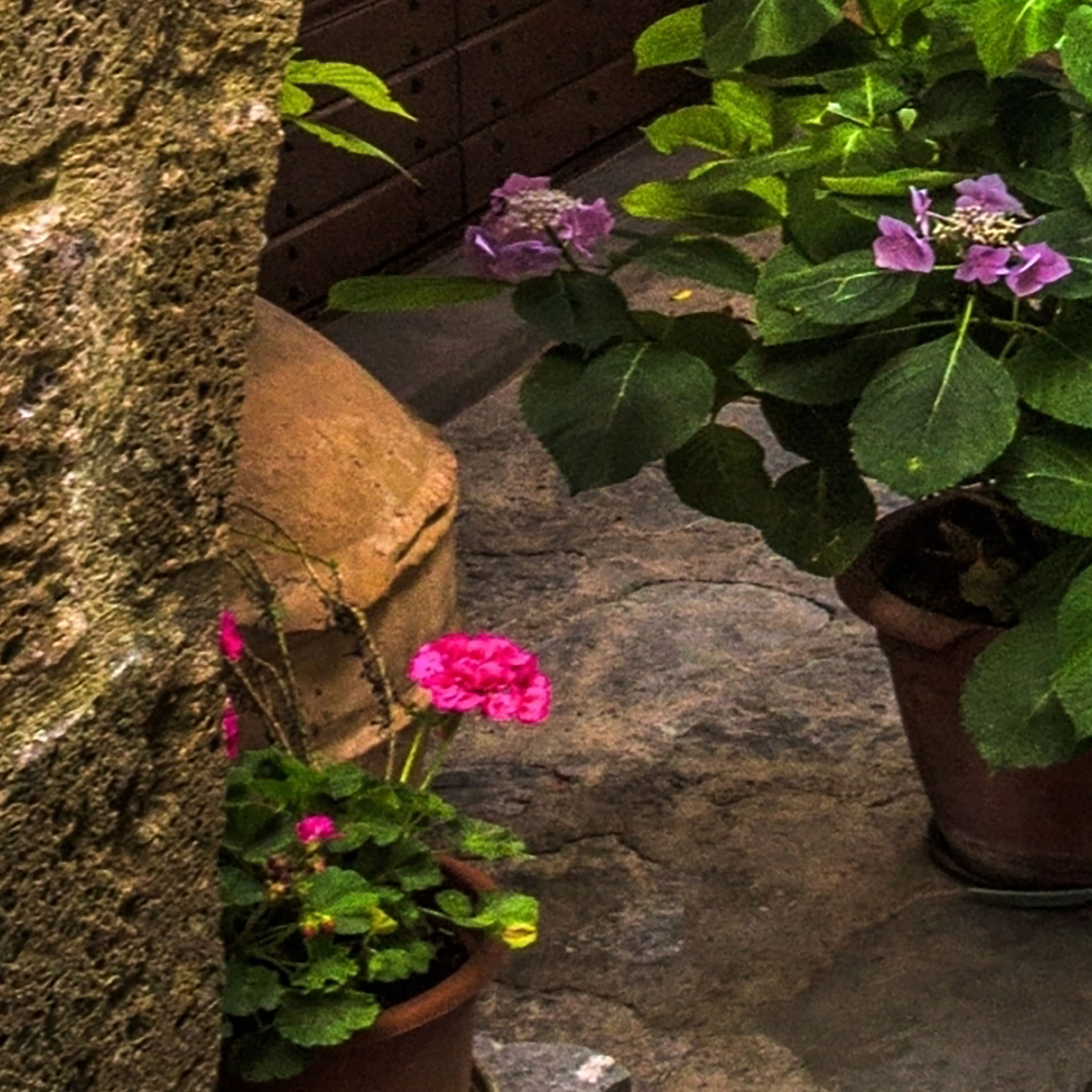 Tapeta Itálie ulička