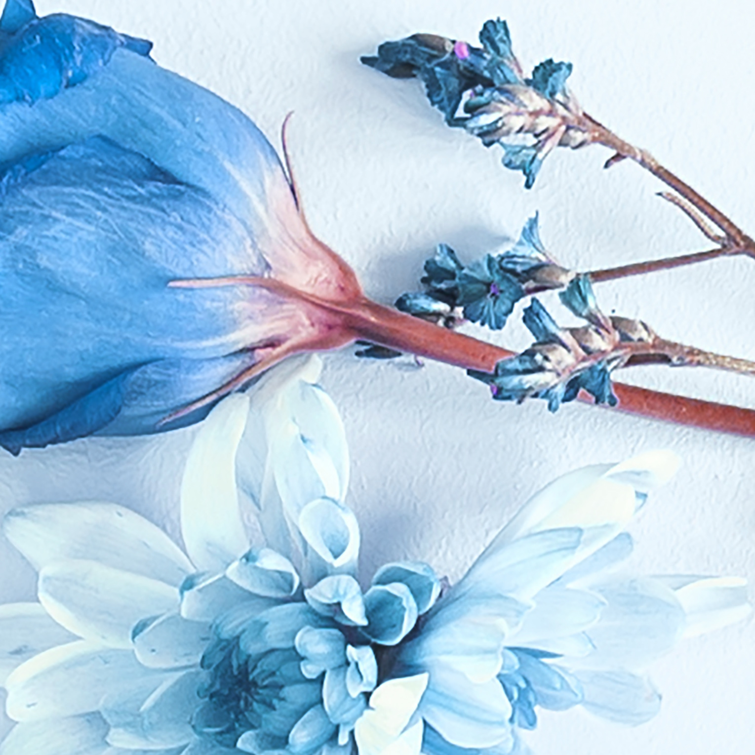 Tapeta Květinový věnec