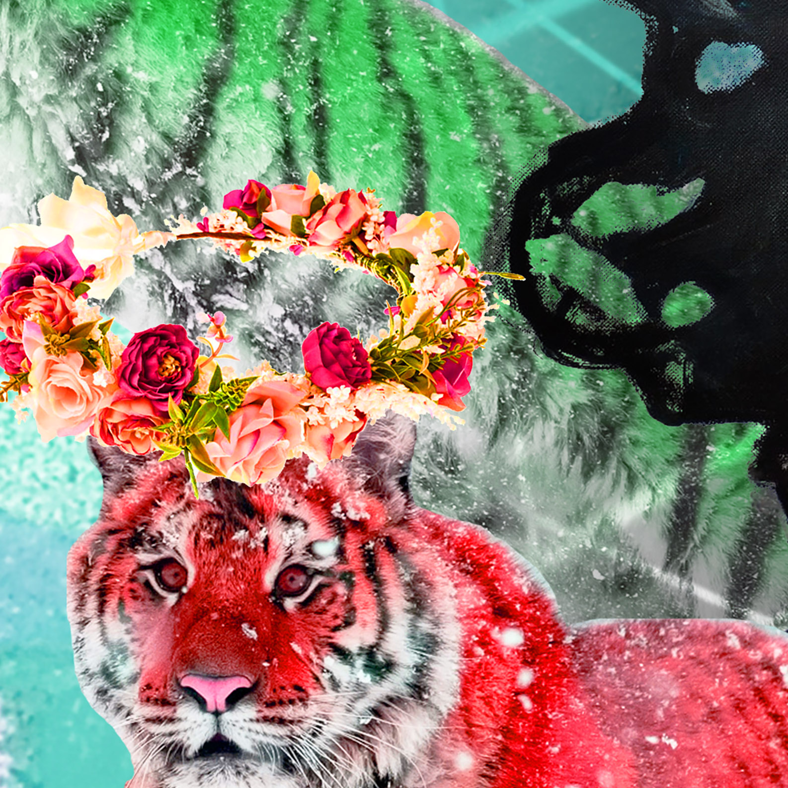 Tapeta Tapetový výstřelek