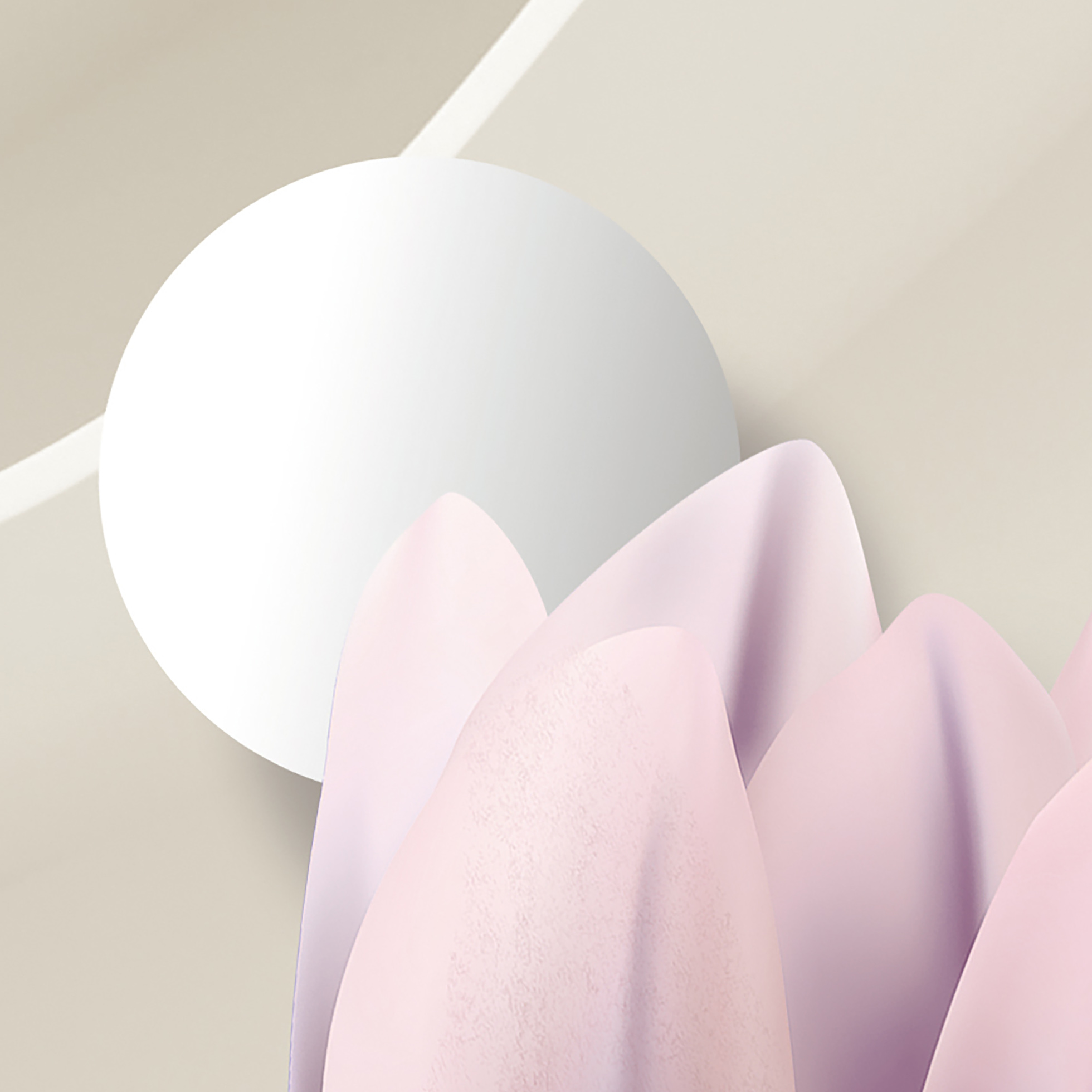 Tapeta Magnolie s 3D pozadím