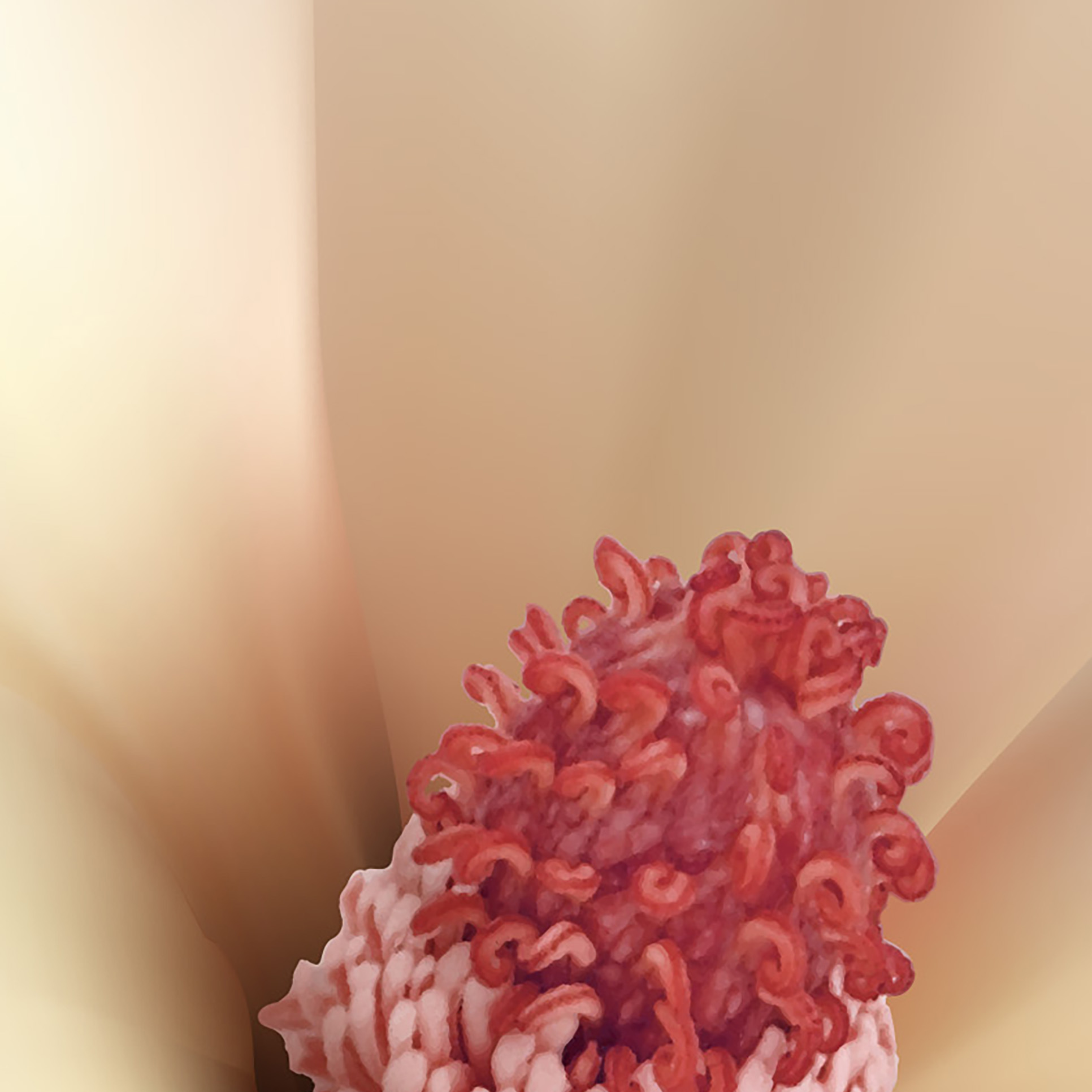 Tapeta Magnolie s dekorací