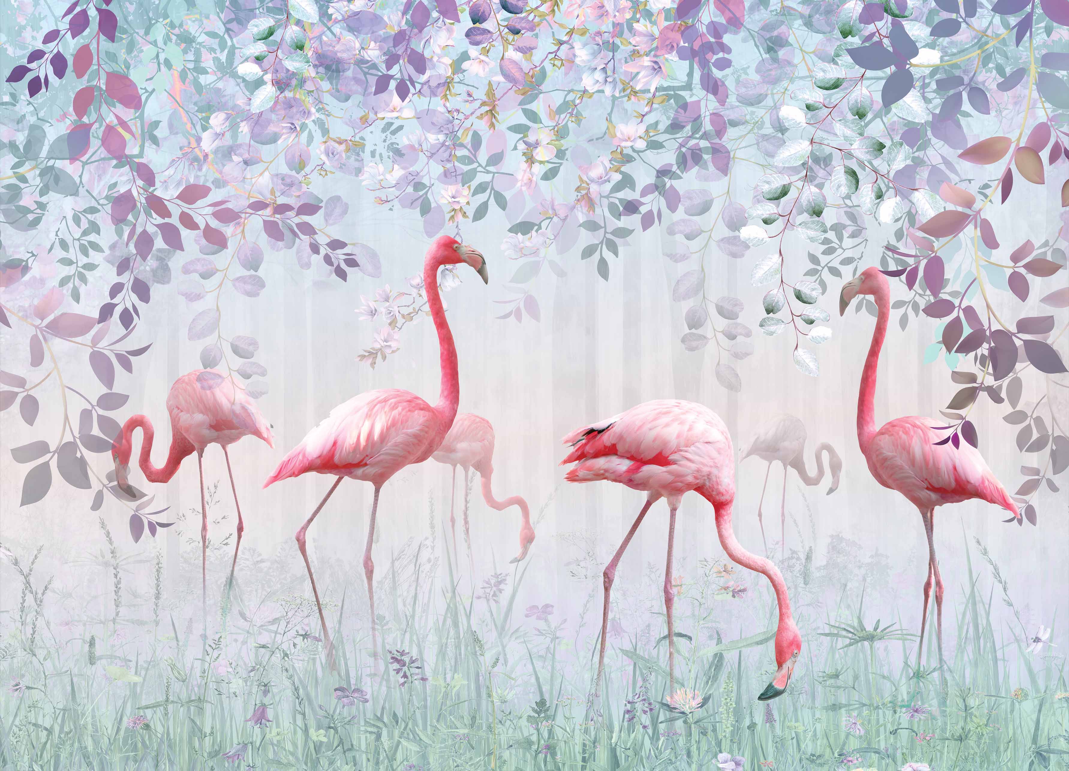 Tapeta Plameňáci v lese