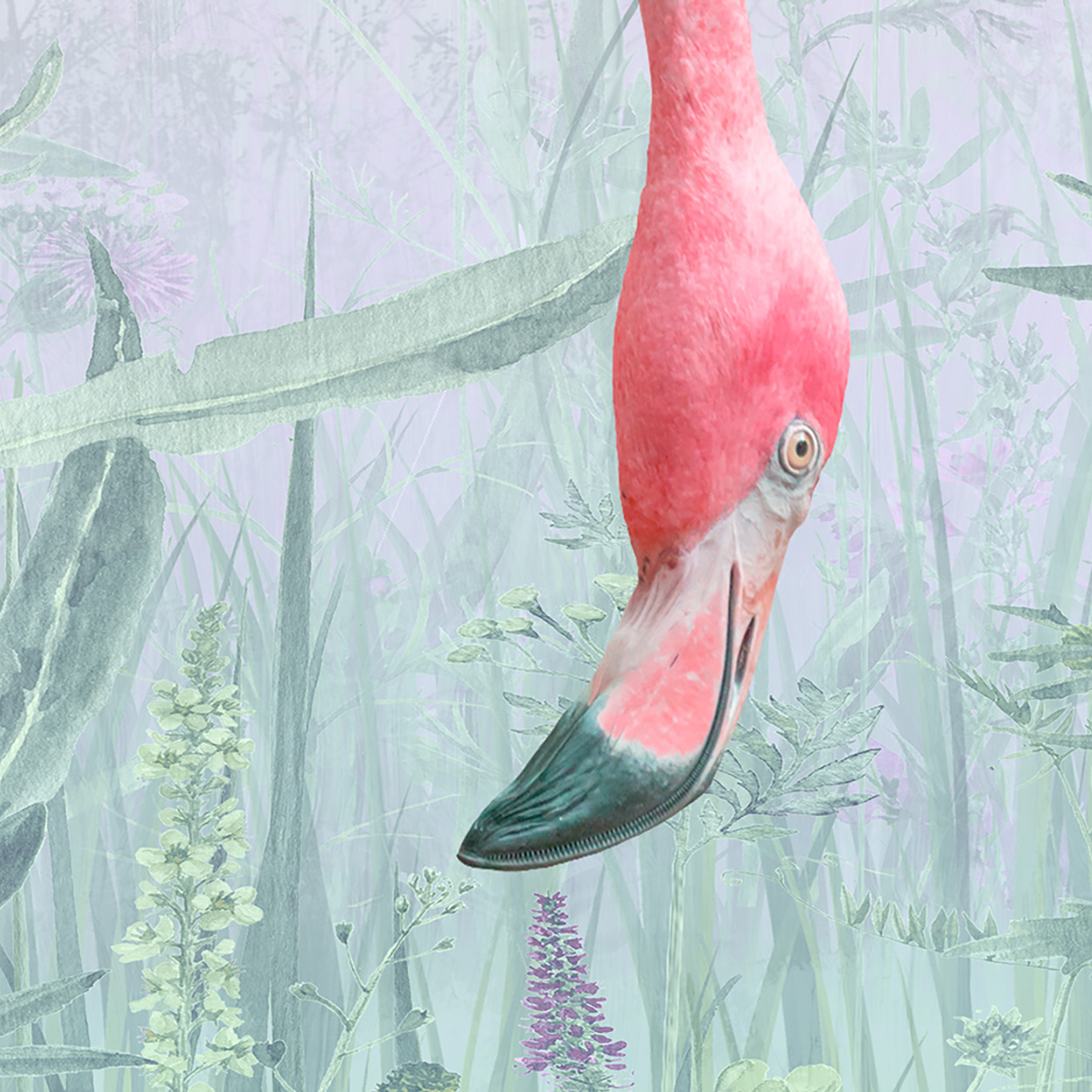 Tapeta Plameňáci v lese