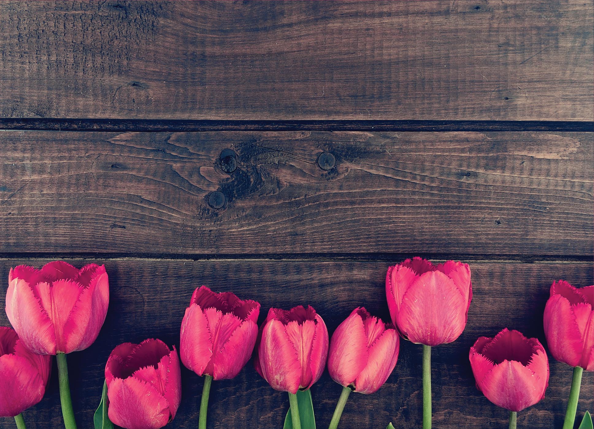 Tapeta Tulipány  na dřevě