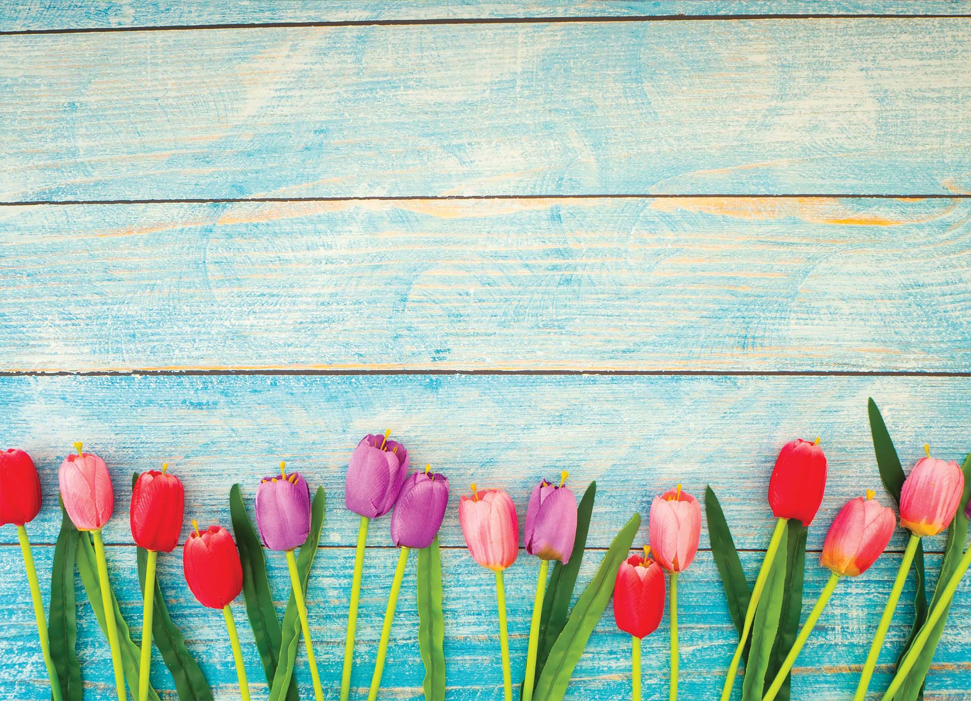Tapeta Tulipány a azurové dřevo
