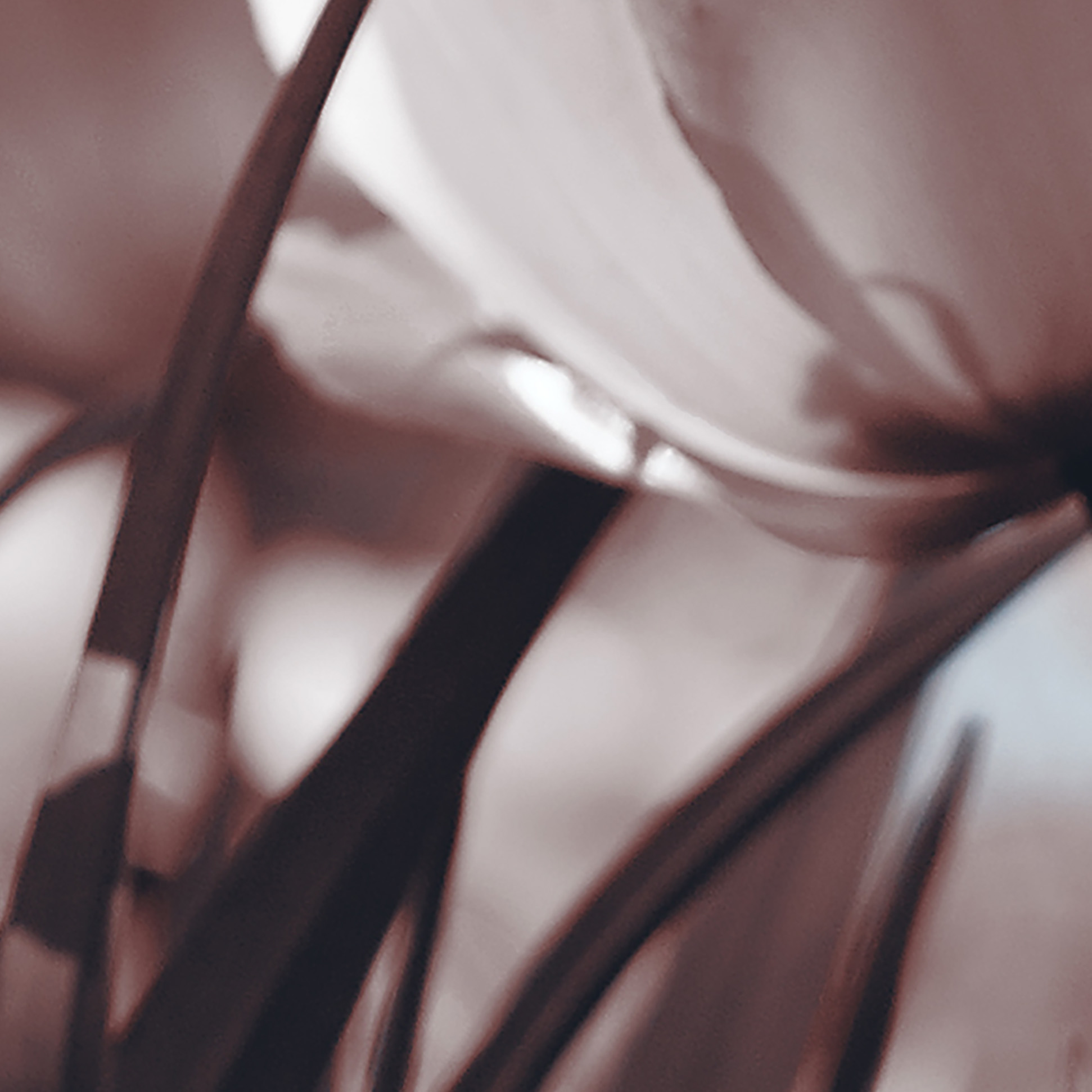 Tapeta Tulipány na poli