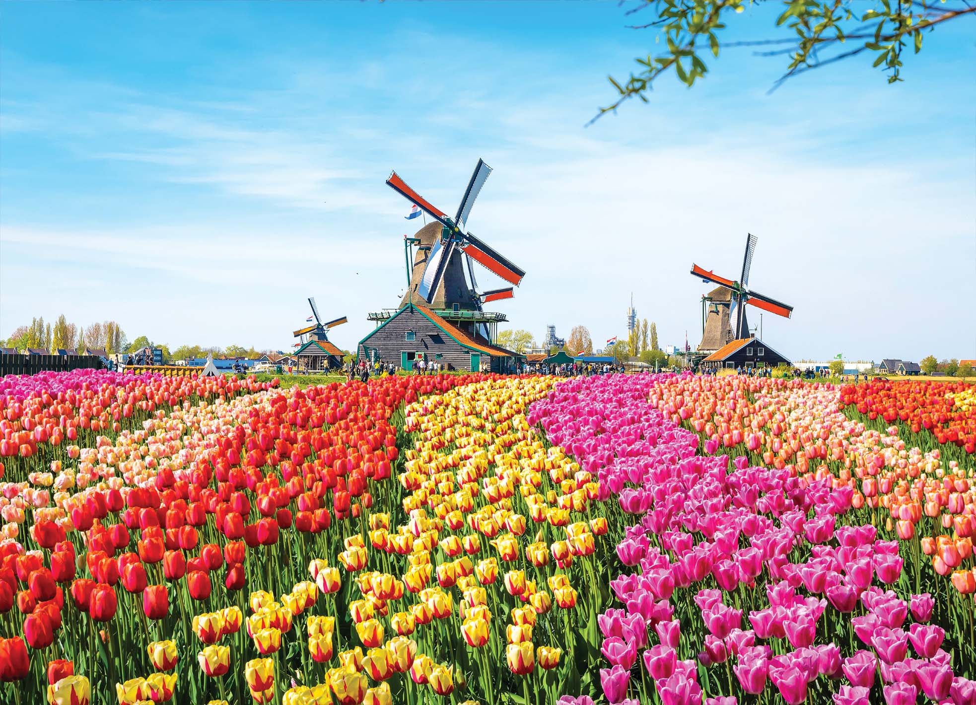 Tapeta Větrné mlýny