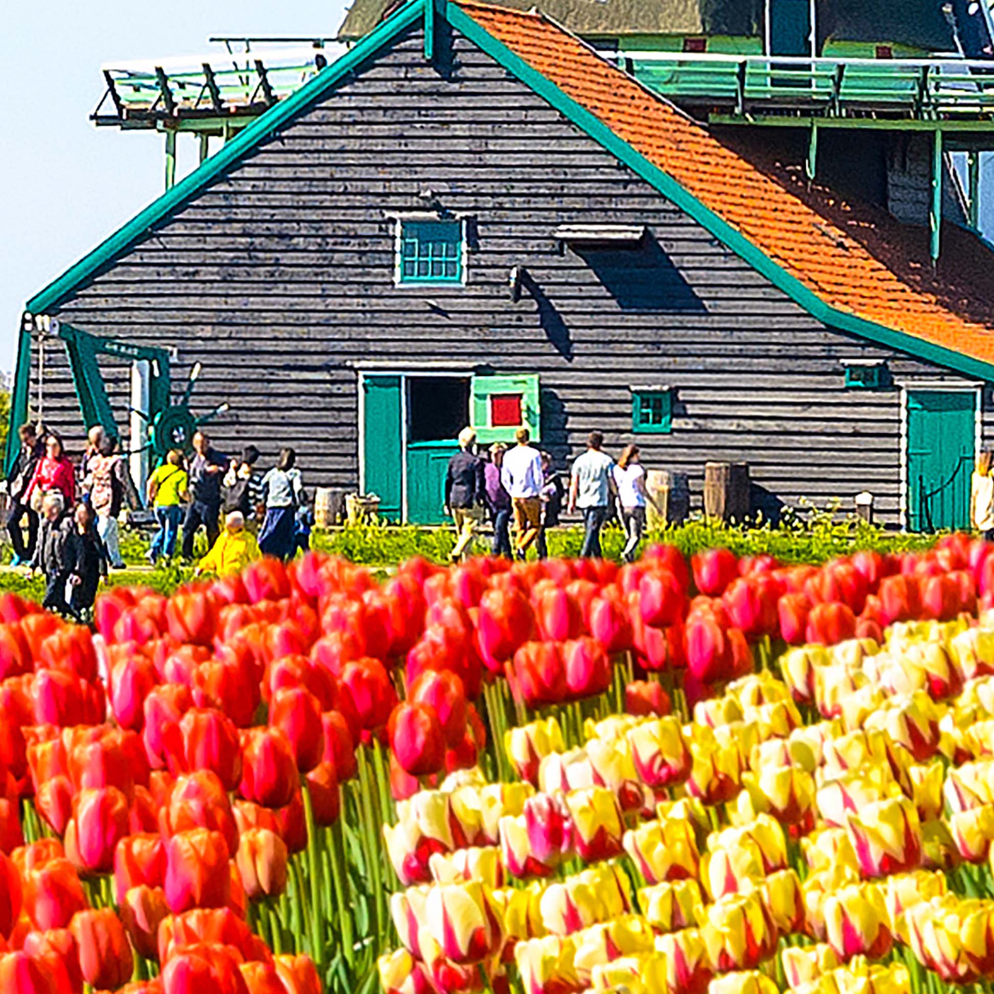 Tapeta Větrné mlýny