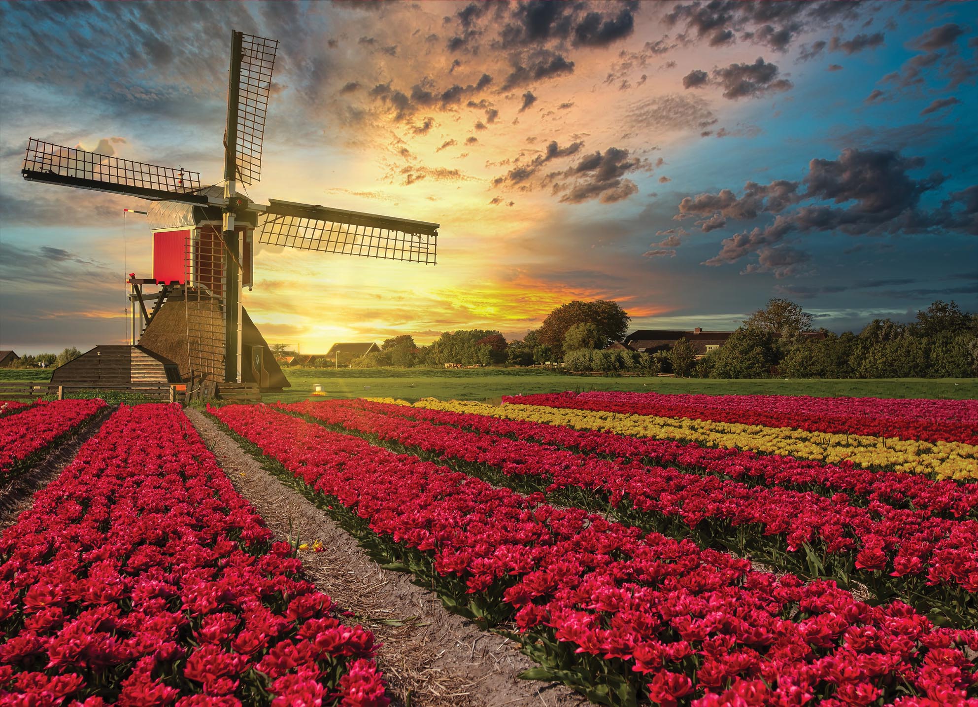 Tapeta Větrný mlýn při východu slunce