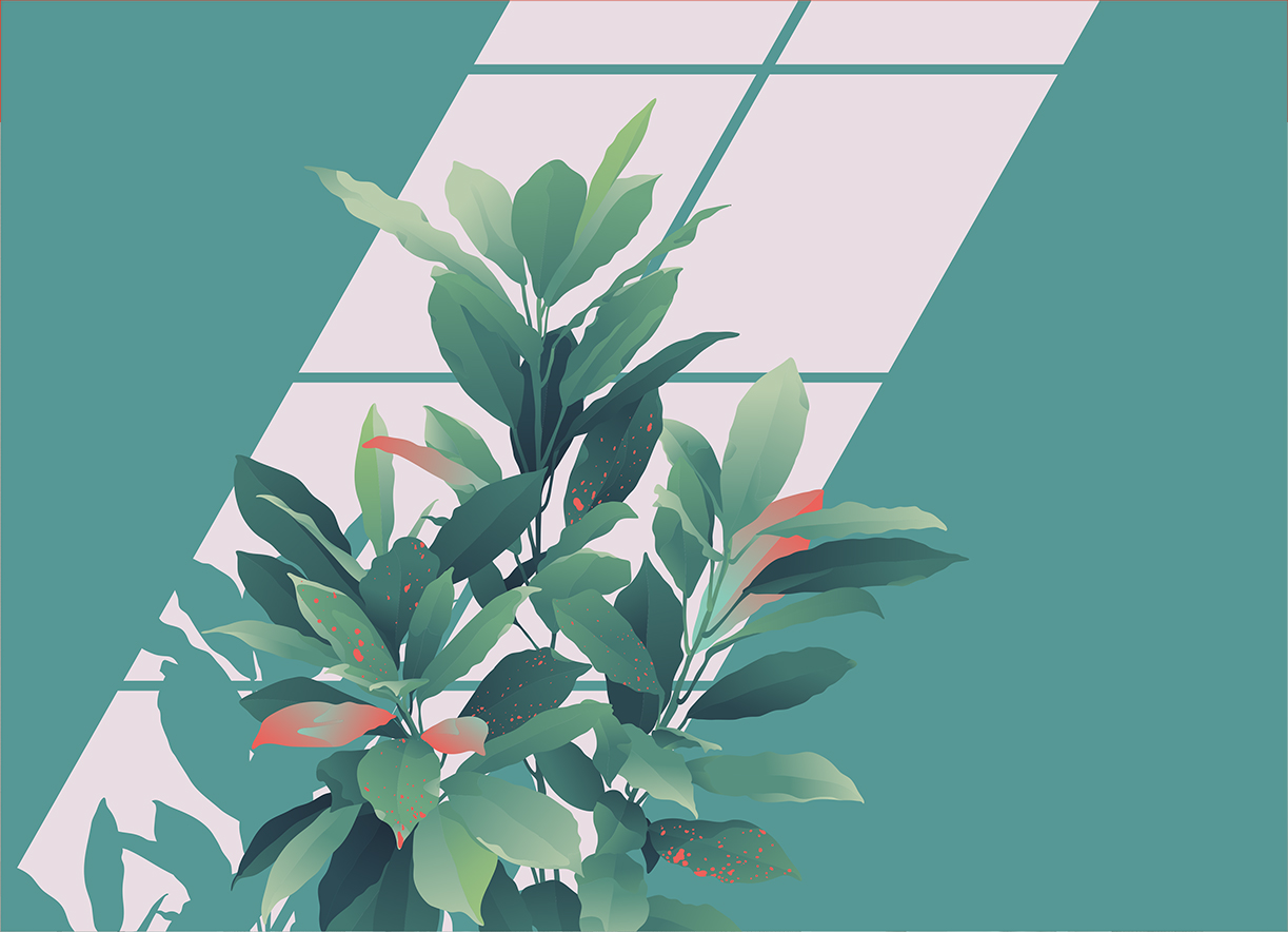 Tapeta Krotonové rostliny