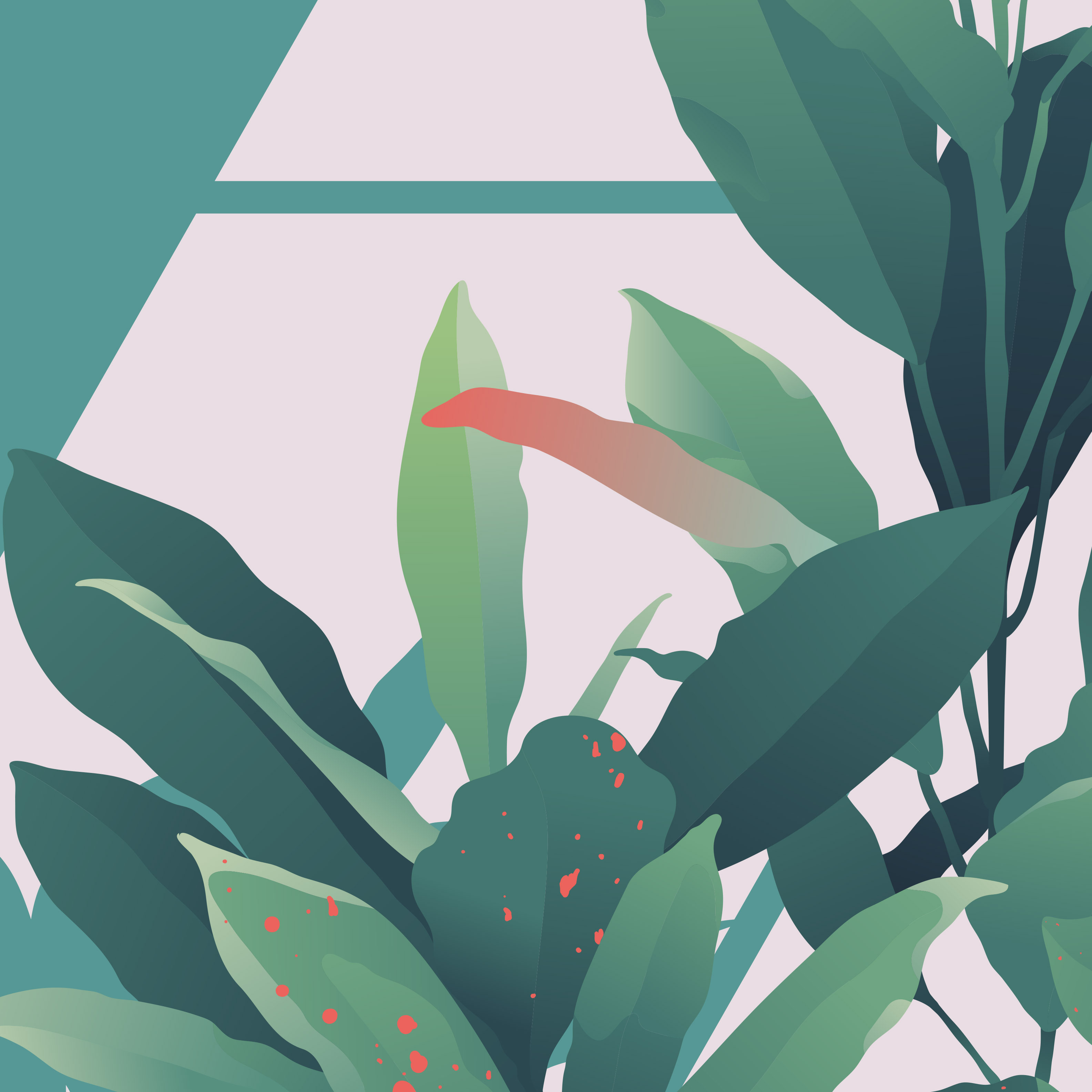 Tapeta Krotonové rostliny