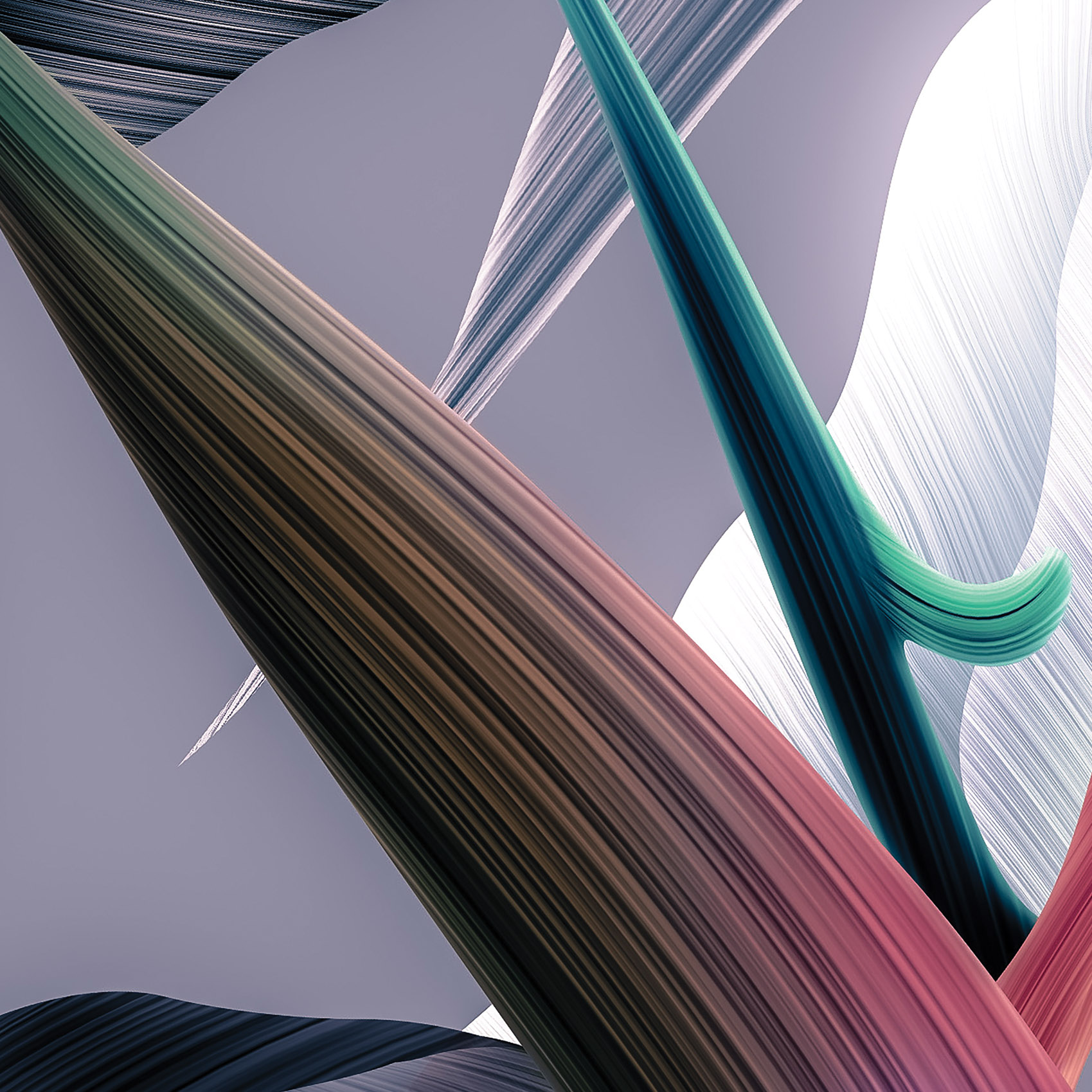 Tapeta průsvitný tropický les