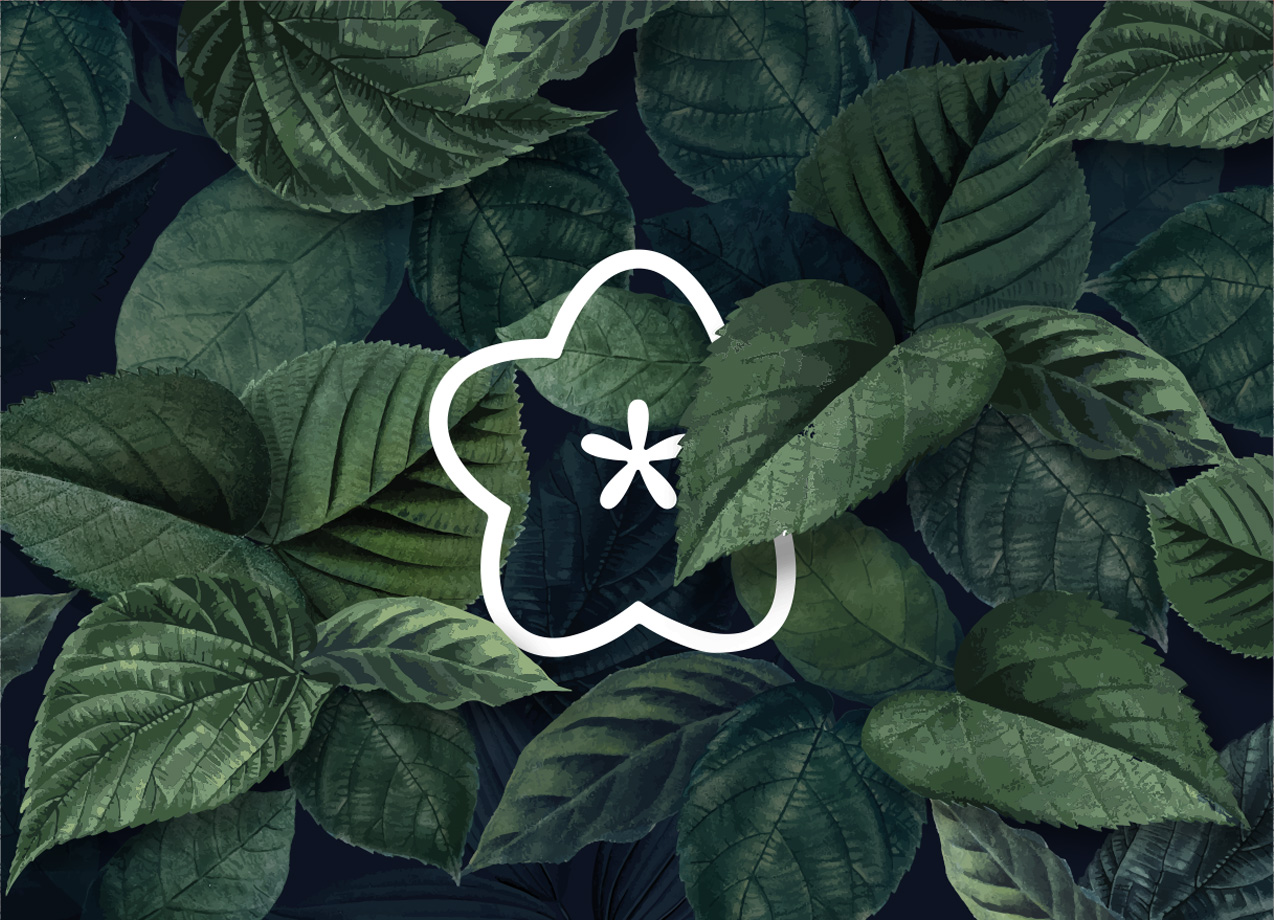 Tapeta Botanika s logem