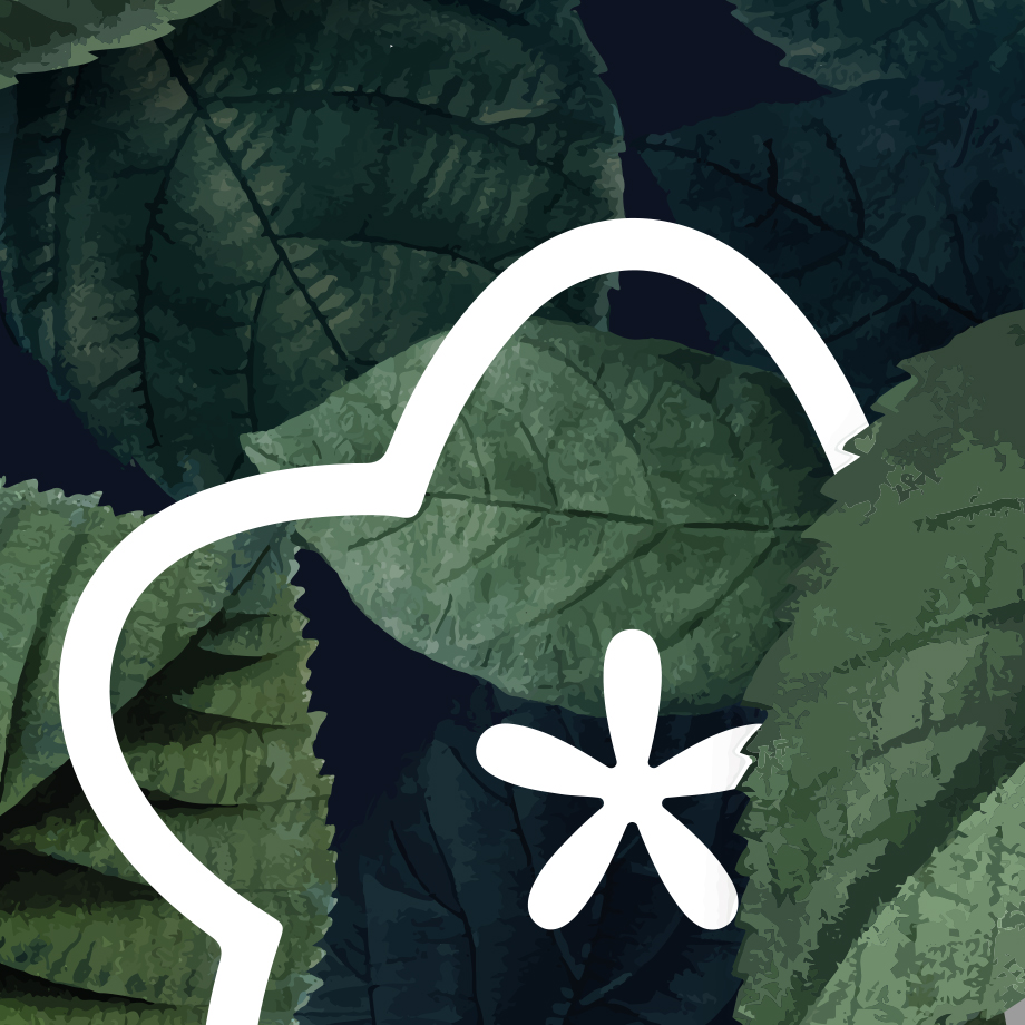 Tapeta Botanika s logem