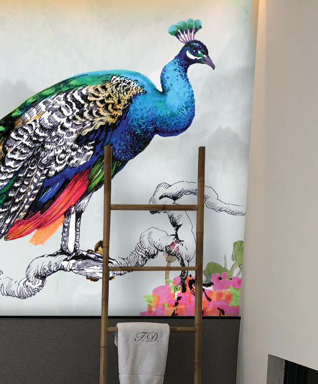 Tapeta Kapr Koi a páv