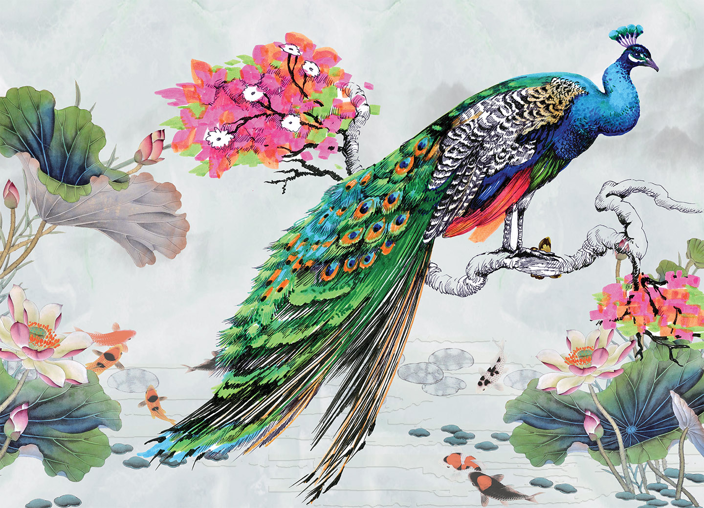 Tapeta Kapr Koi a páv