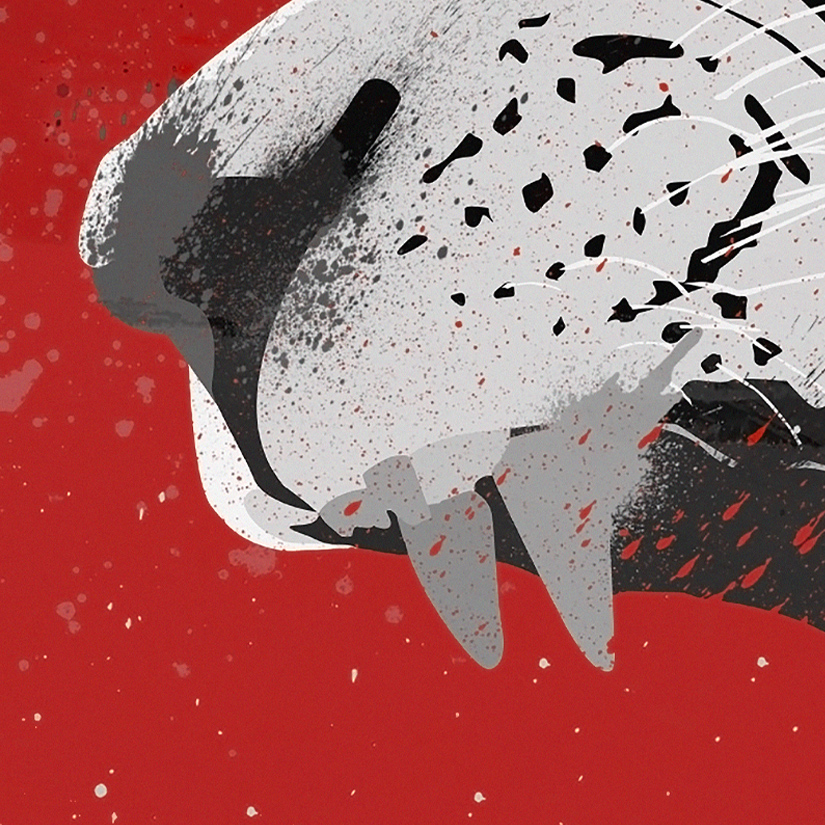 Tapeta Zuřivá lvice