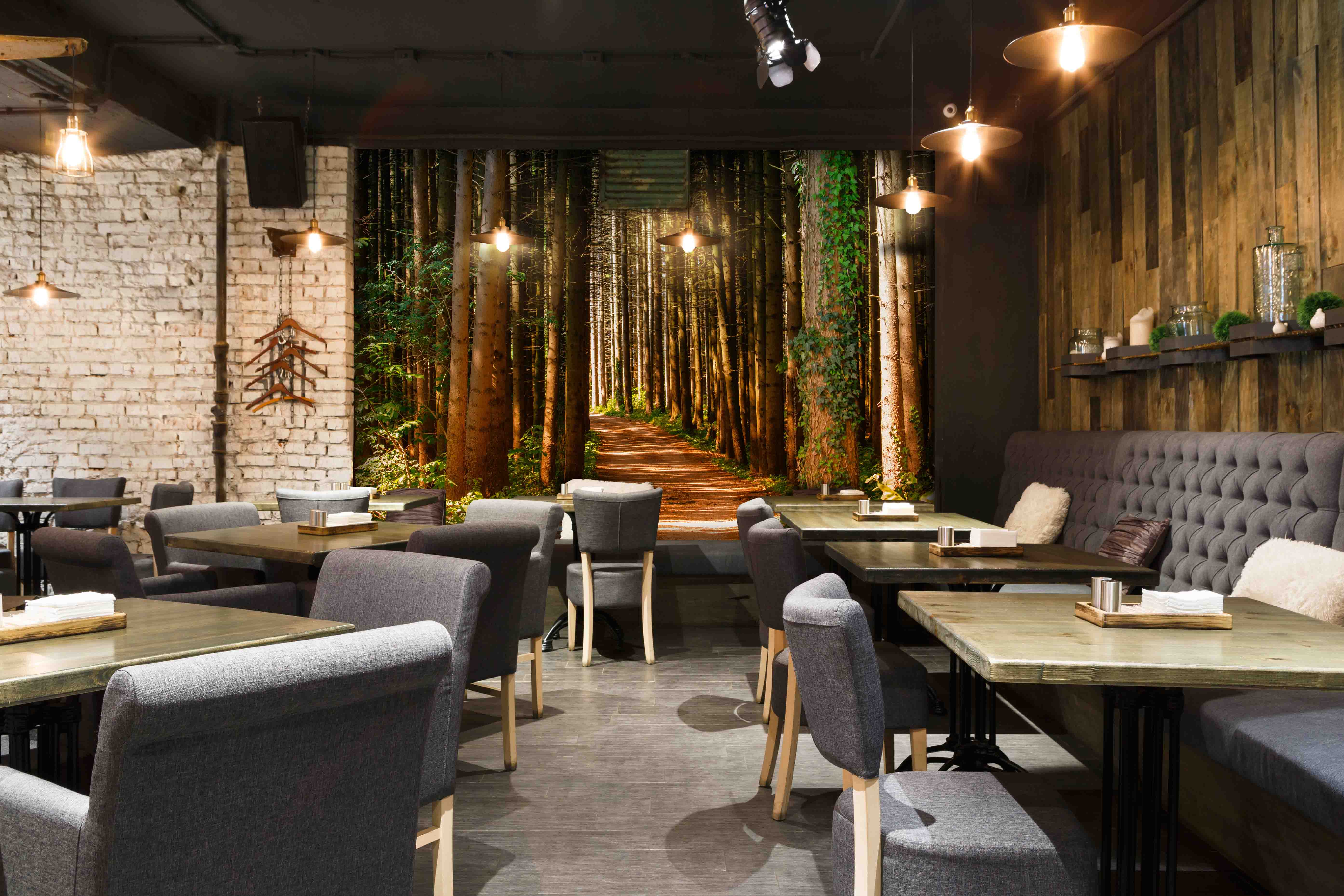 Tapeta Cestička v lese