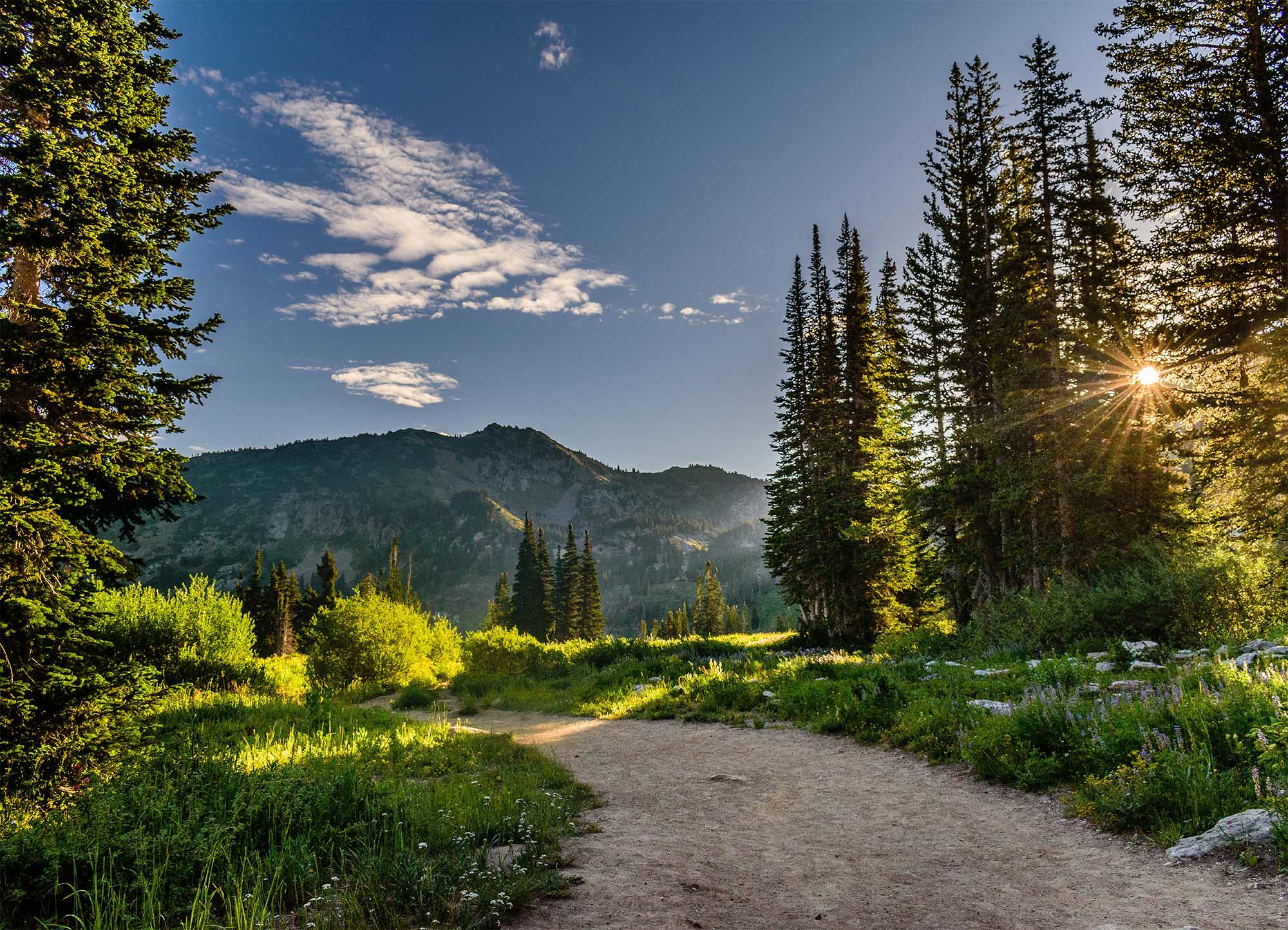 Tapeta Cestička v rozzářené krajině