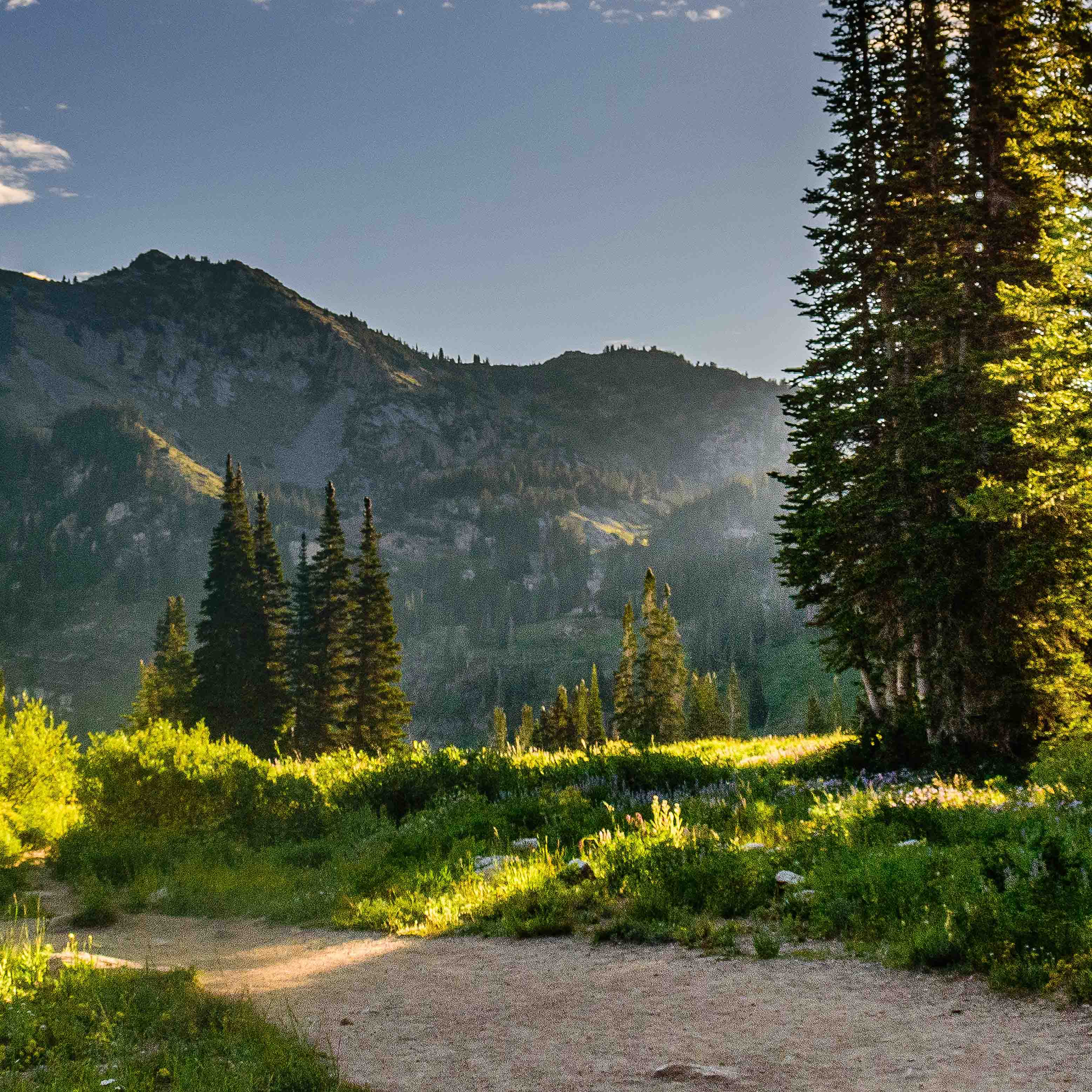 Tapeta Cestička v rozzářené krajině