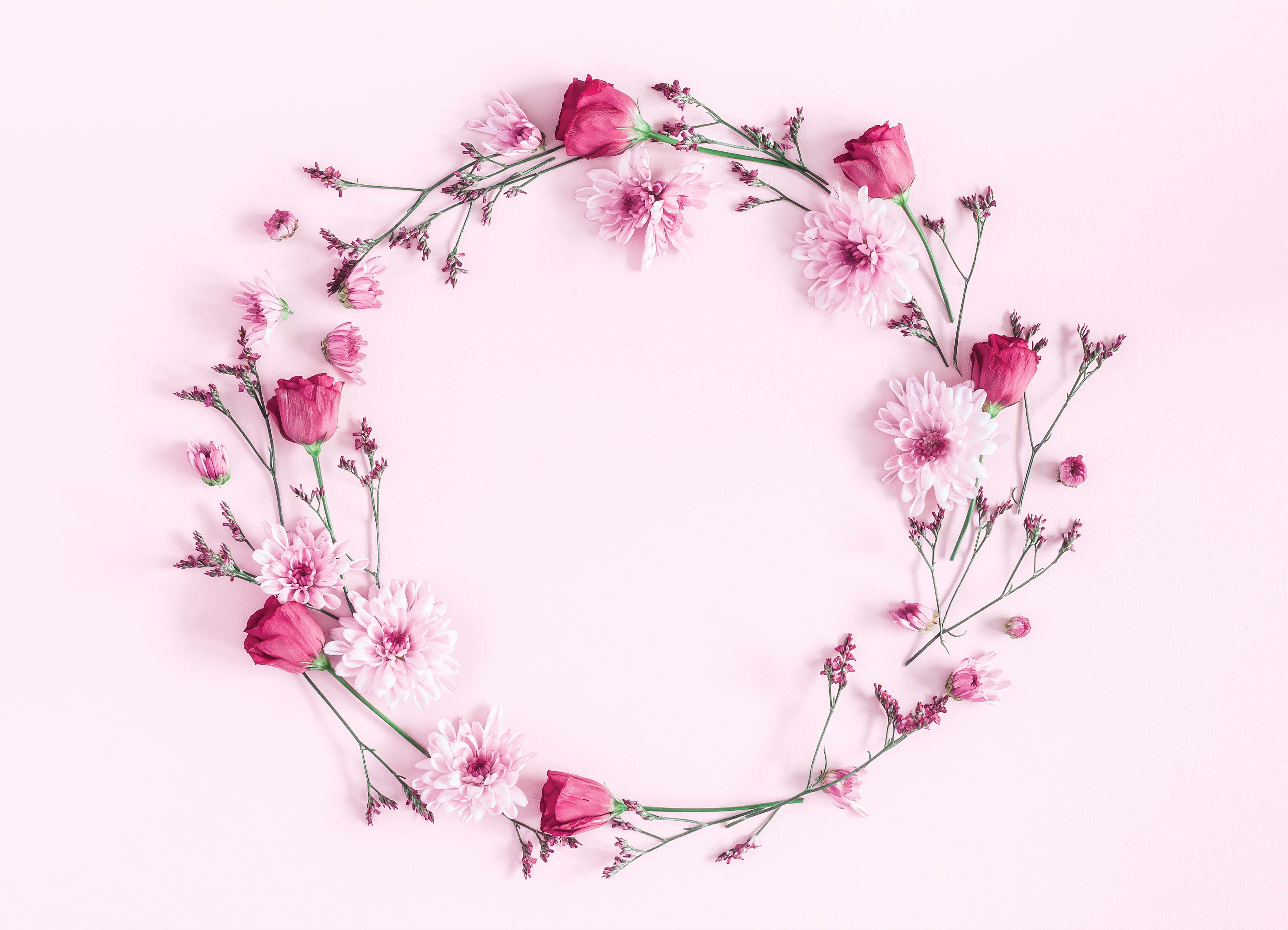 Tapeta Růžová tématika květin