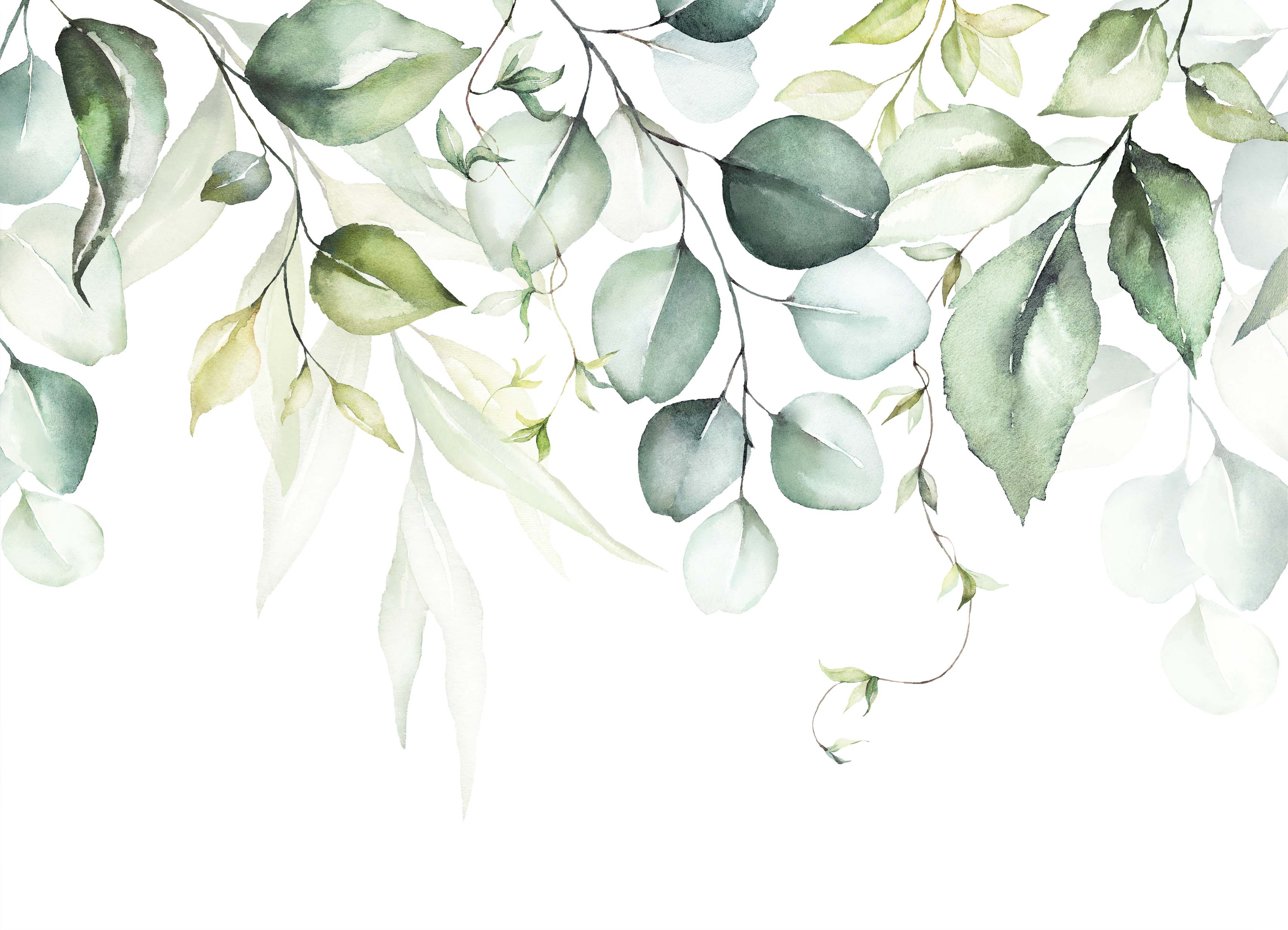 Tapeta Elegantně jemné větvičky