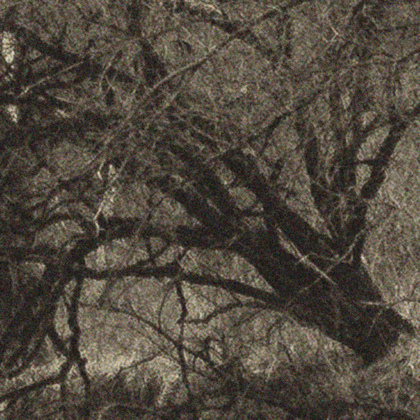 Tapeta Stará fotka potoka