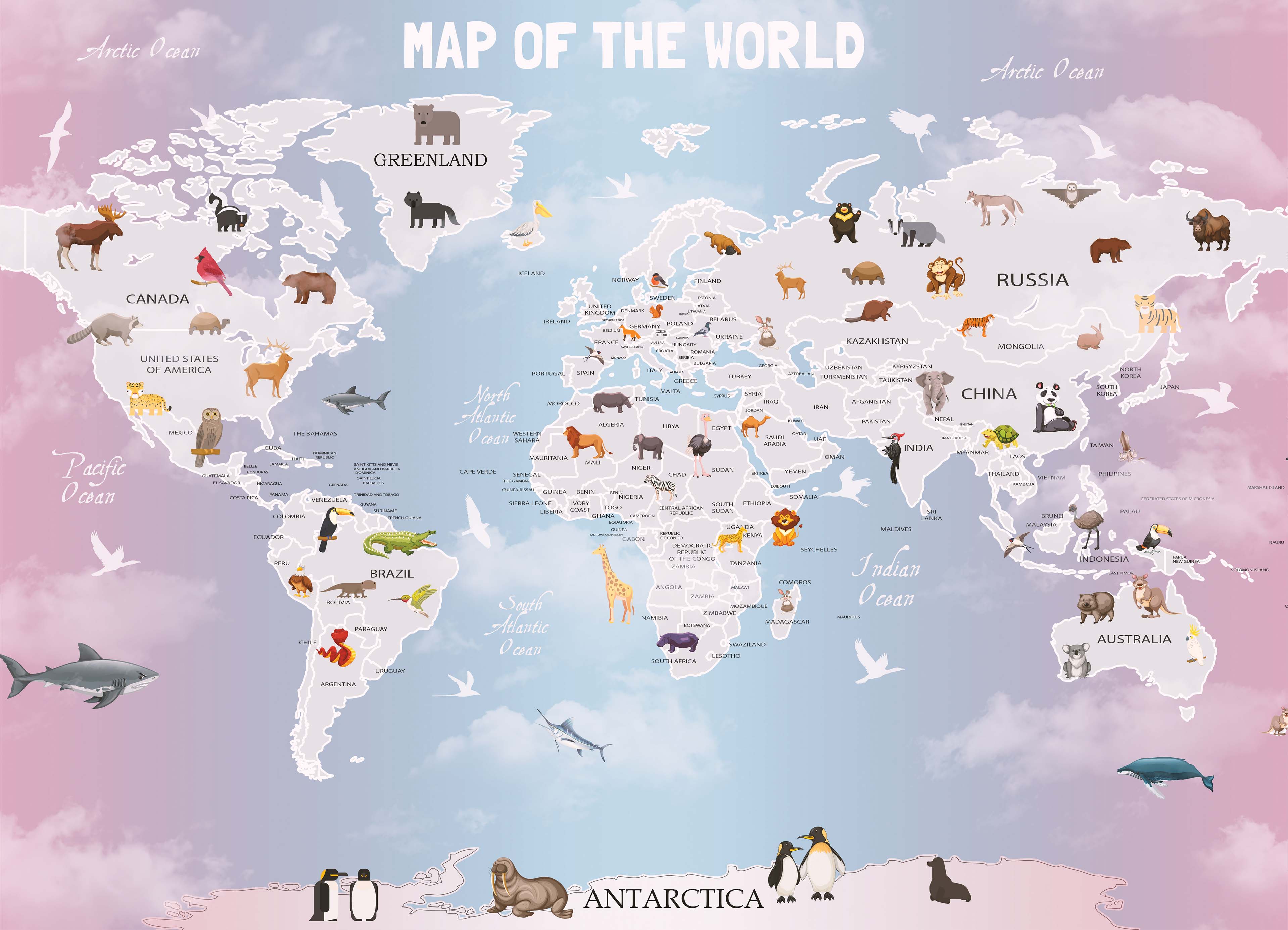 Tapeta Mapa světa (Anglicky)
