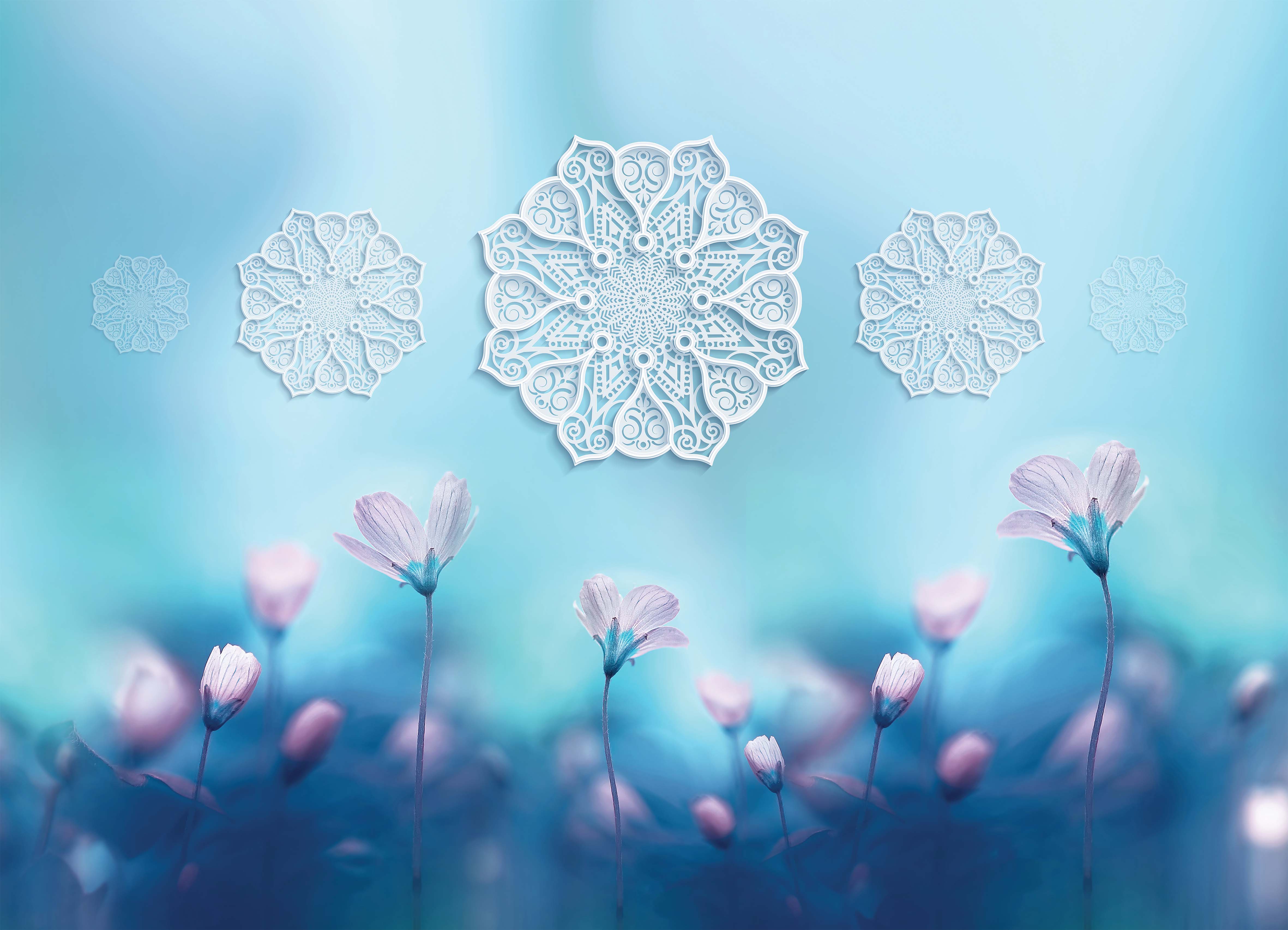 Tapeta Luční kvítí s mandalou