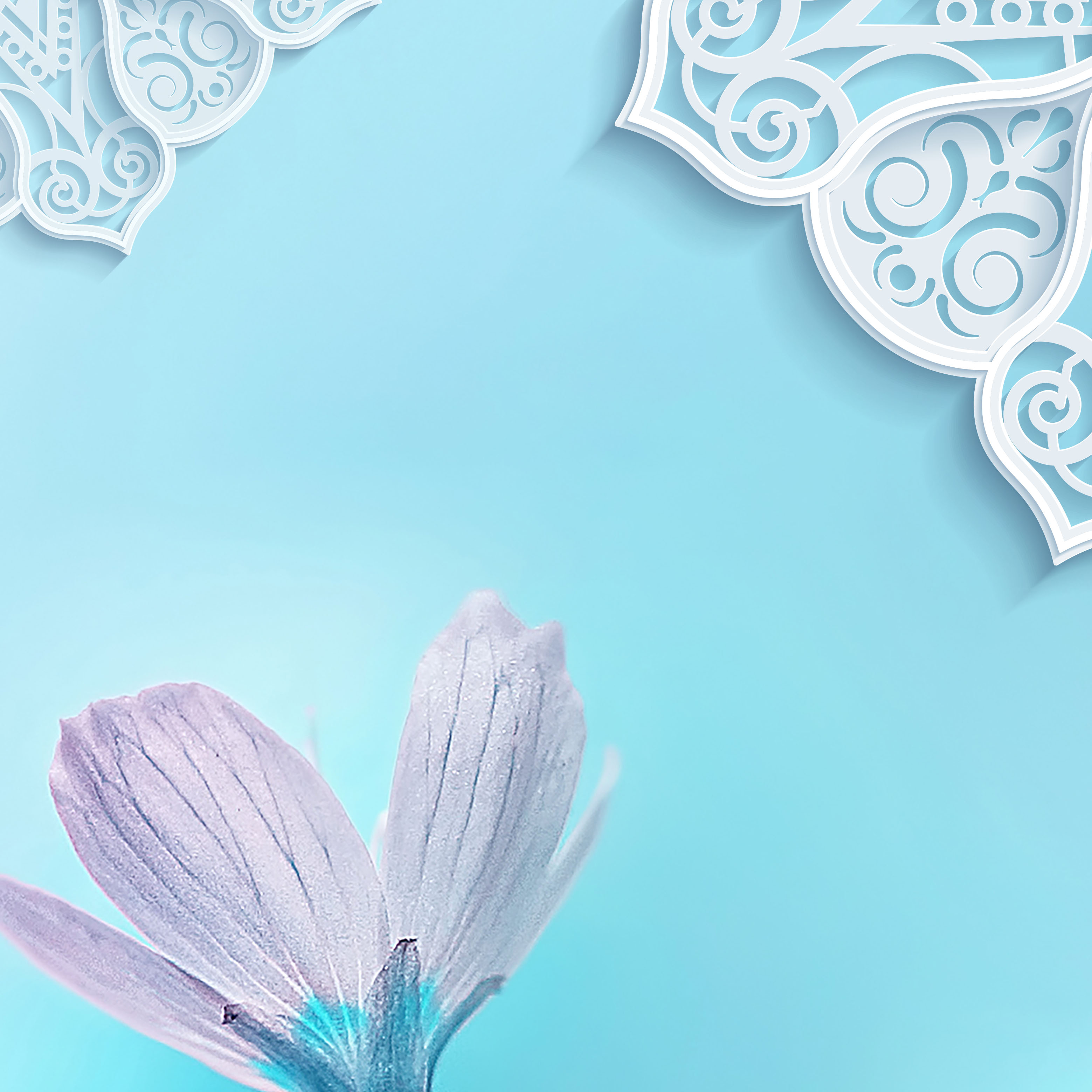 Tapeta Luční kvítí s mandalou