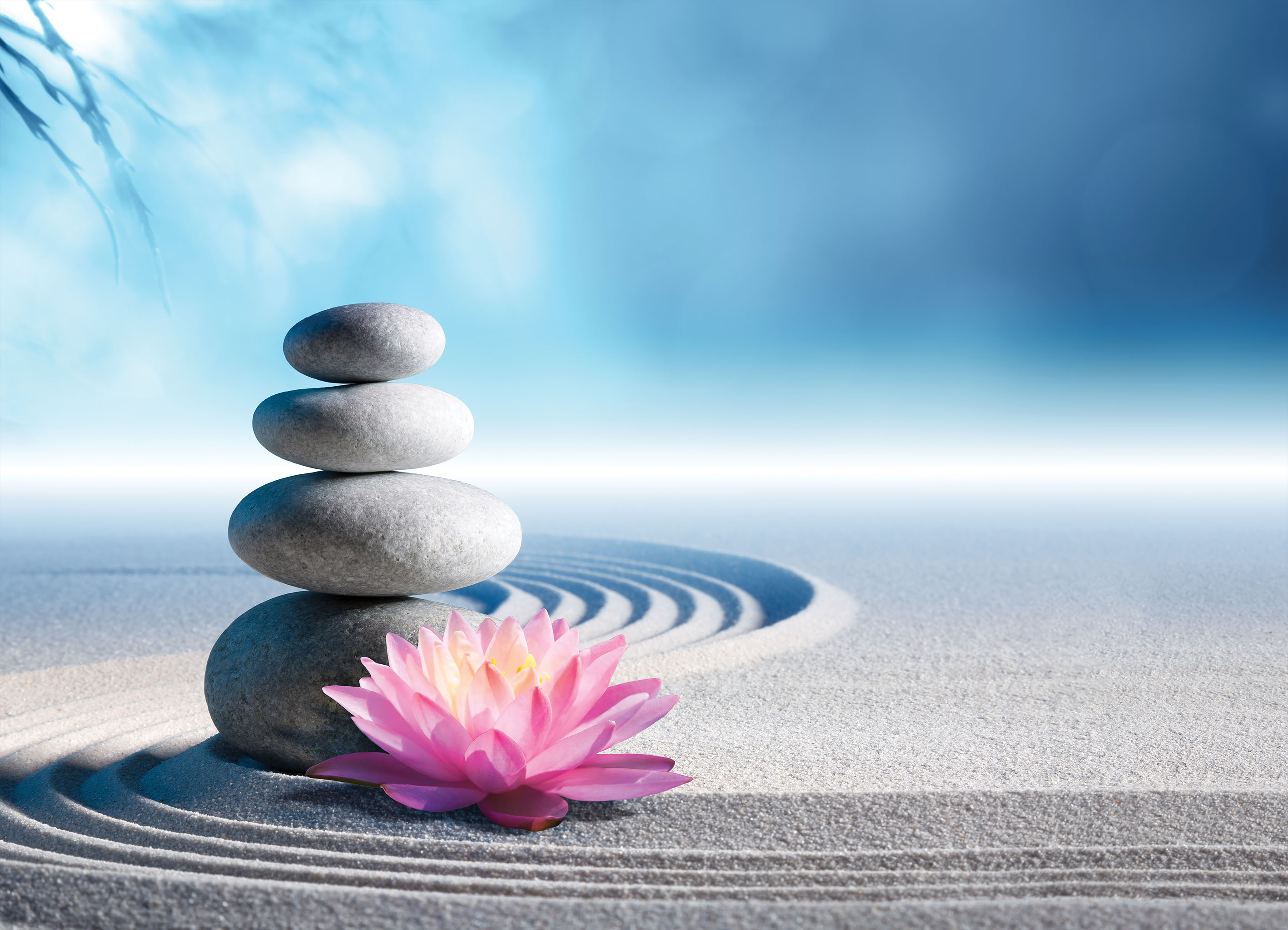 Tapeta meditační kameny a lotos