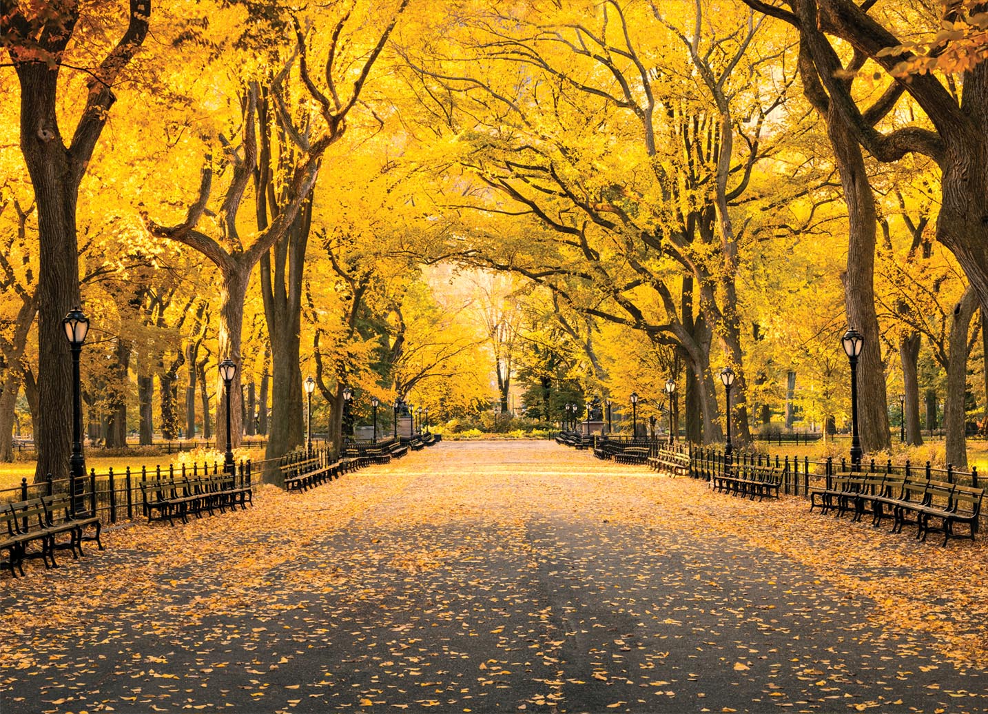 Tapeta podzimní park
