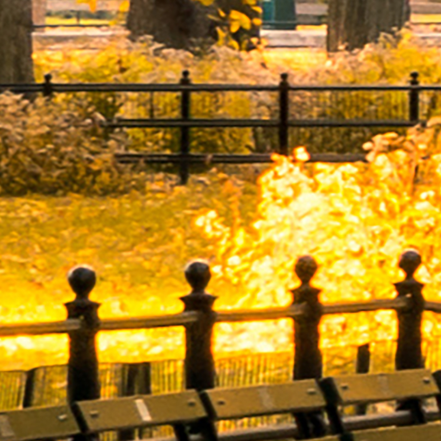 Tapeta podzimní park