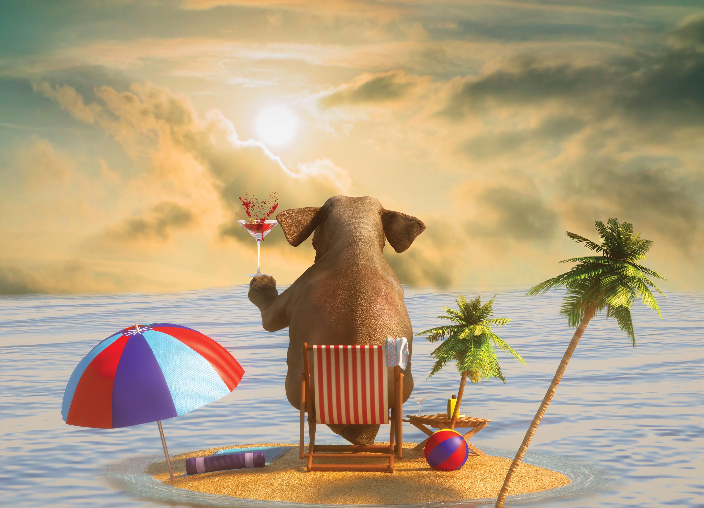 Tapeta Slon na ostrově